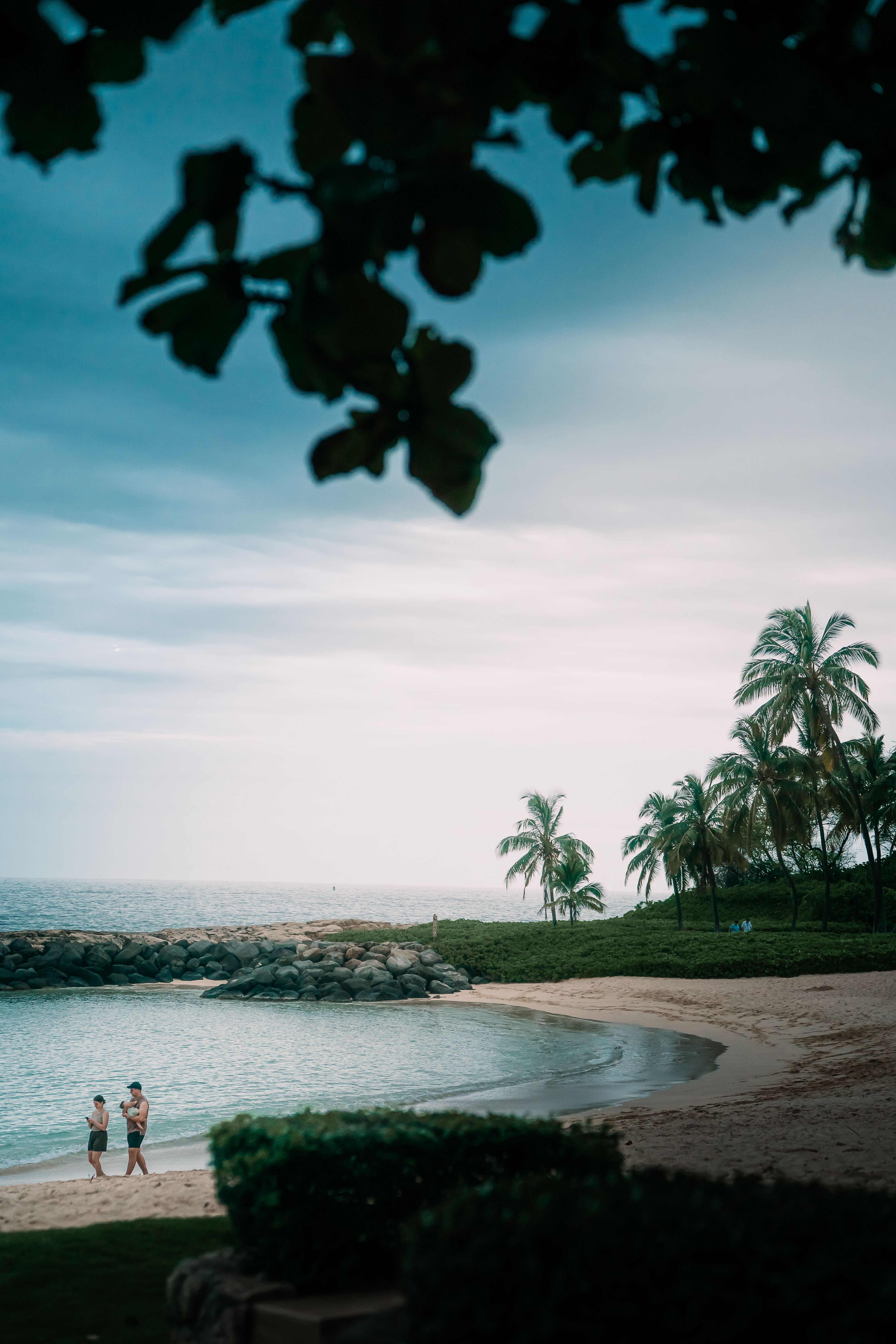 Tranquil beach setting at Ko Olina, Hawaii with palm trees and clear skies.
