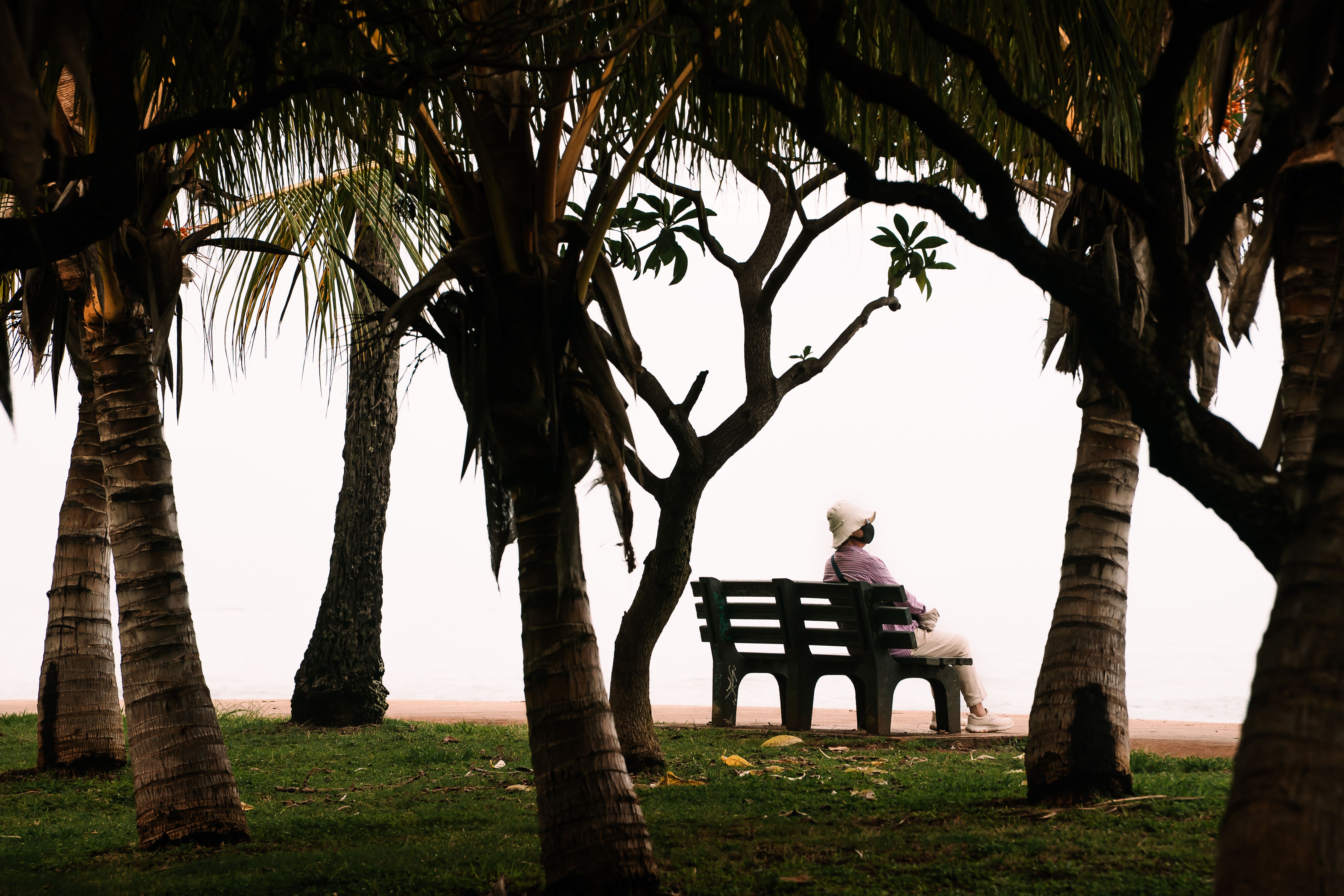 A woman in a hat sits peacefully on a park bench surrounded by trees, enjoying solitude.