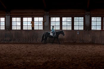 Man Riding on Horse in Front of Window