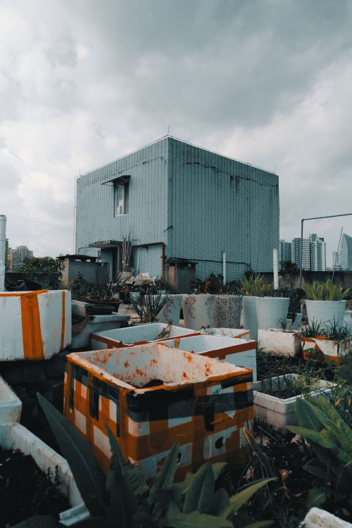 Urban Rooftop Garden with Metal Building · Free Stock Photo
