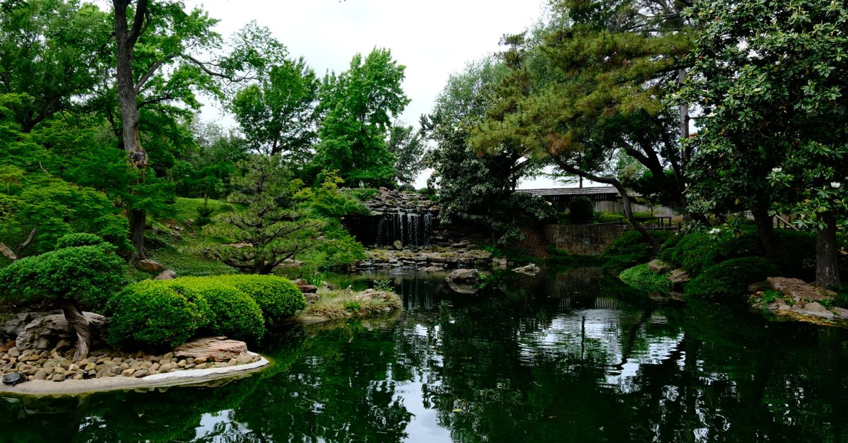 Tranquil Japanese garden with lush greenery and pond in Fort Worth, TX.