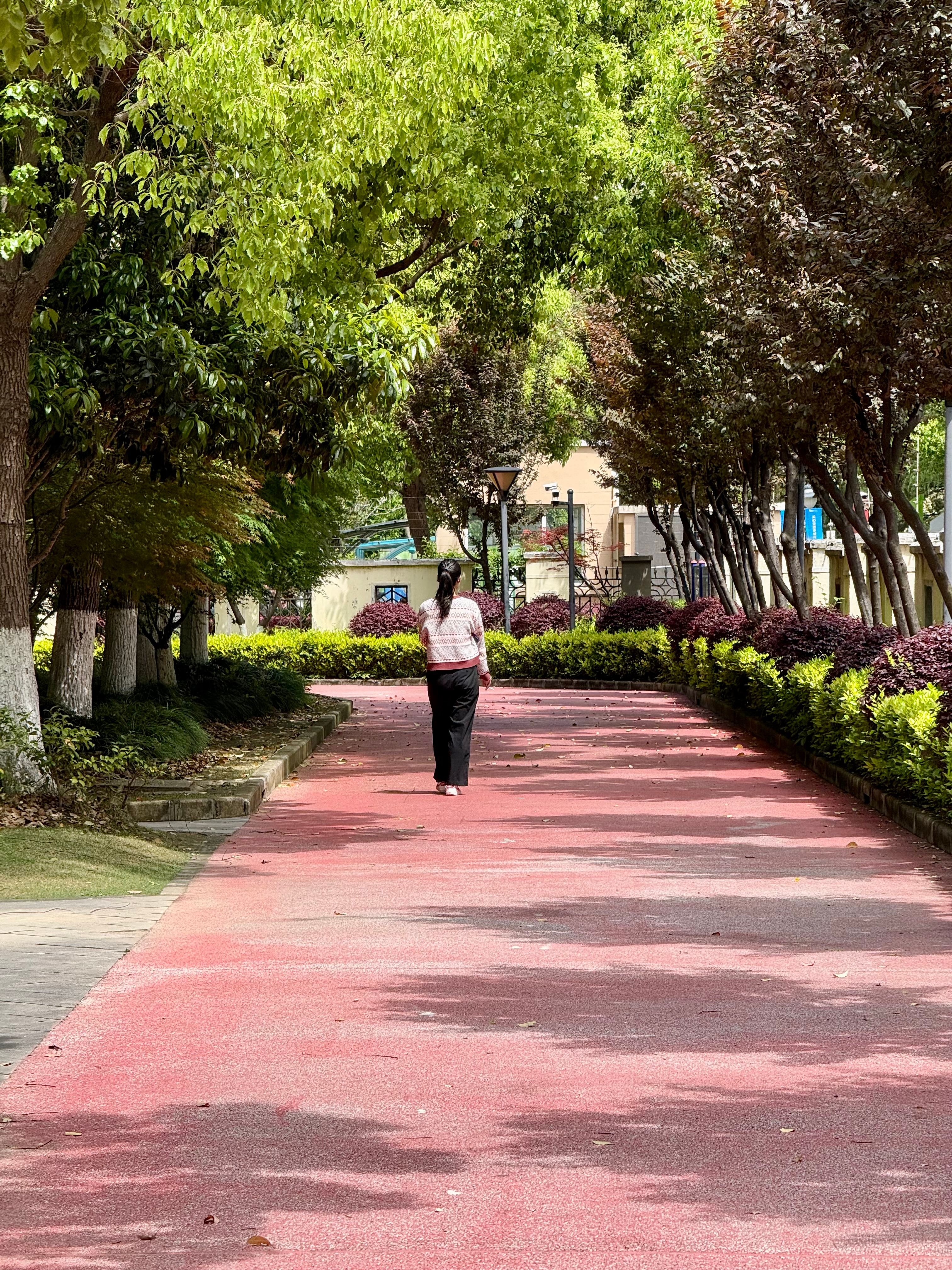 Woman Walking in Lush Green Park Pathway · Free Stock Photo