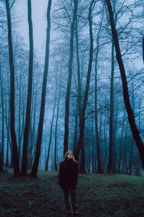 Free A person stands alone in a foggy forest with tall, bare trees, creating a mysterious atmosphere. Stock Photo