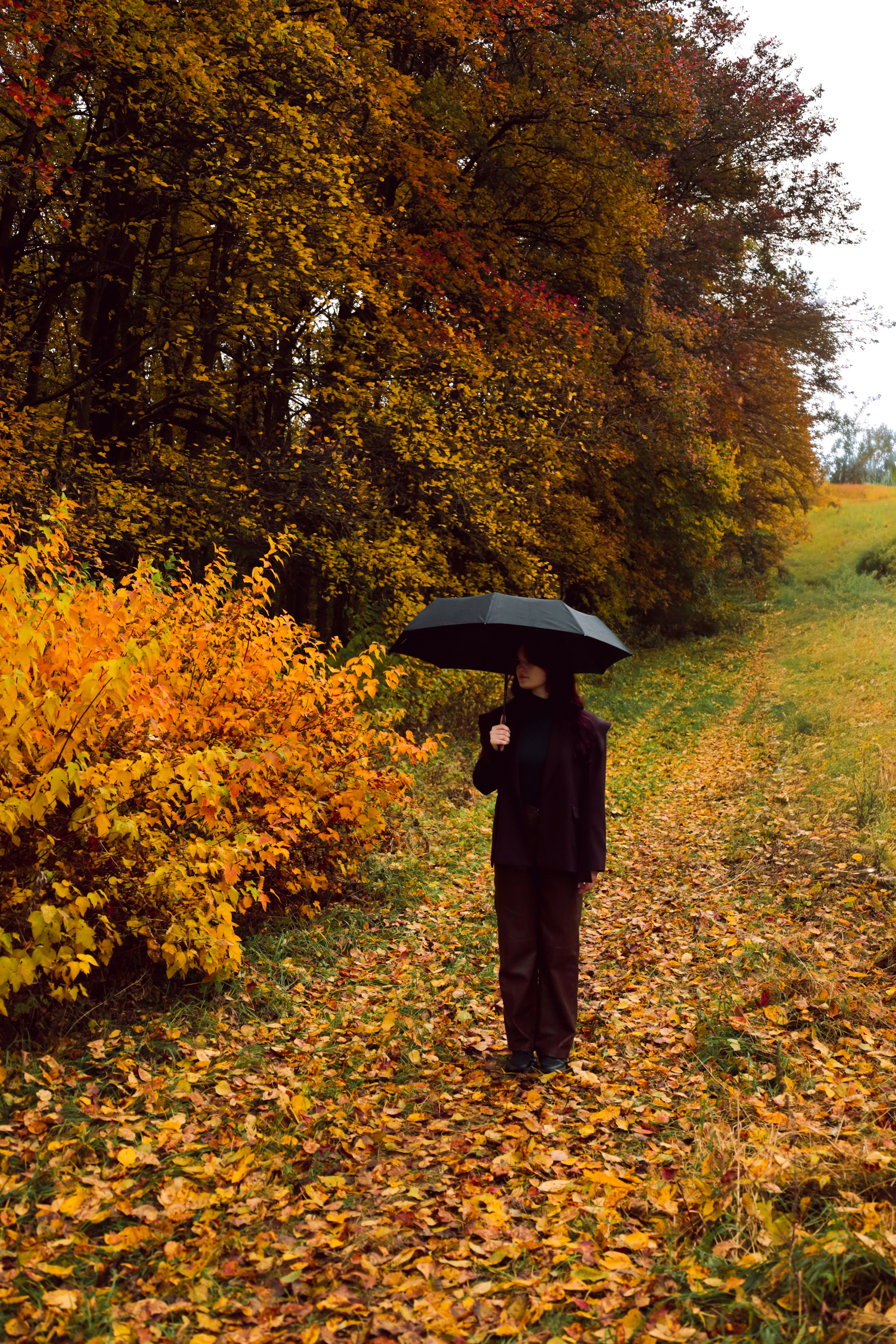 Woman with Umbrella in Autumn Forest Pathway · Free Stock Photo