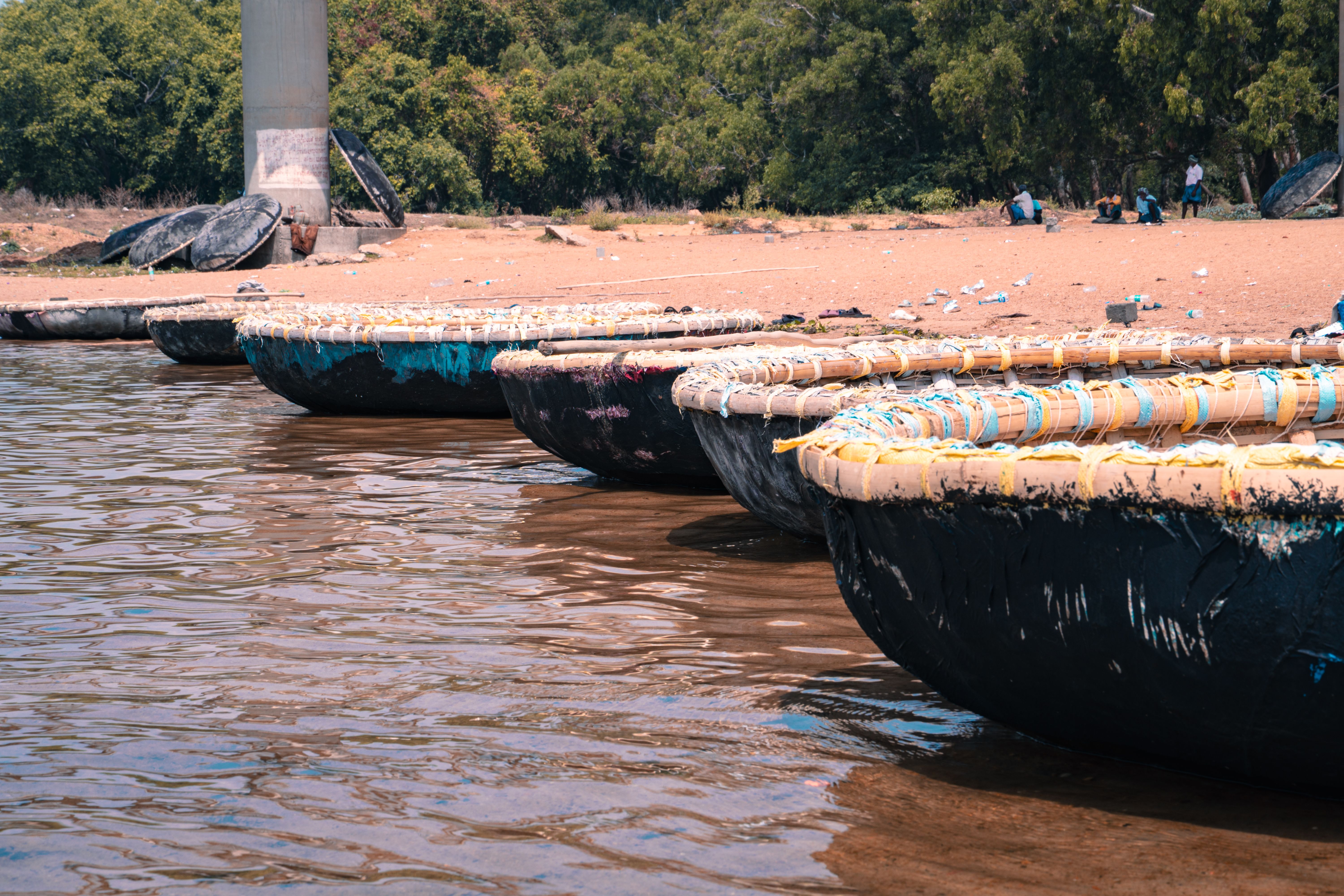 A serene view of coracle boats lined up on the Cauvery Riverbank in Mysuru, Karnataka, India.
