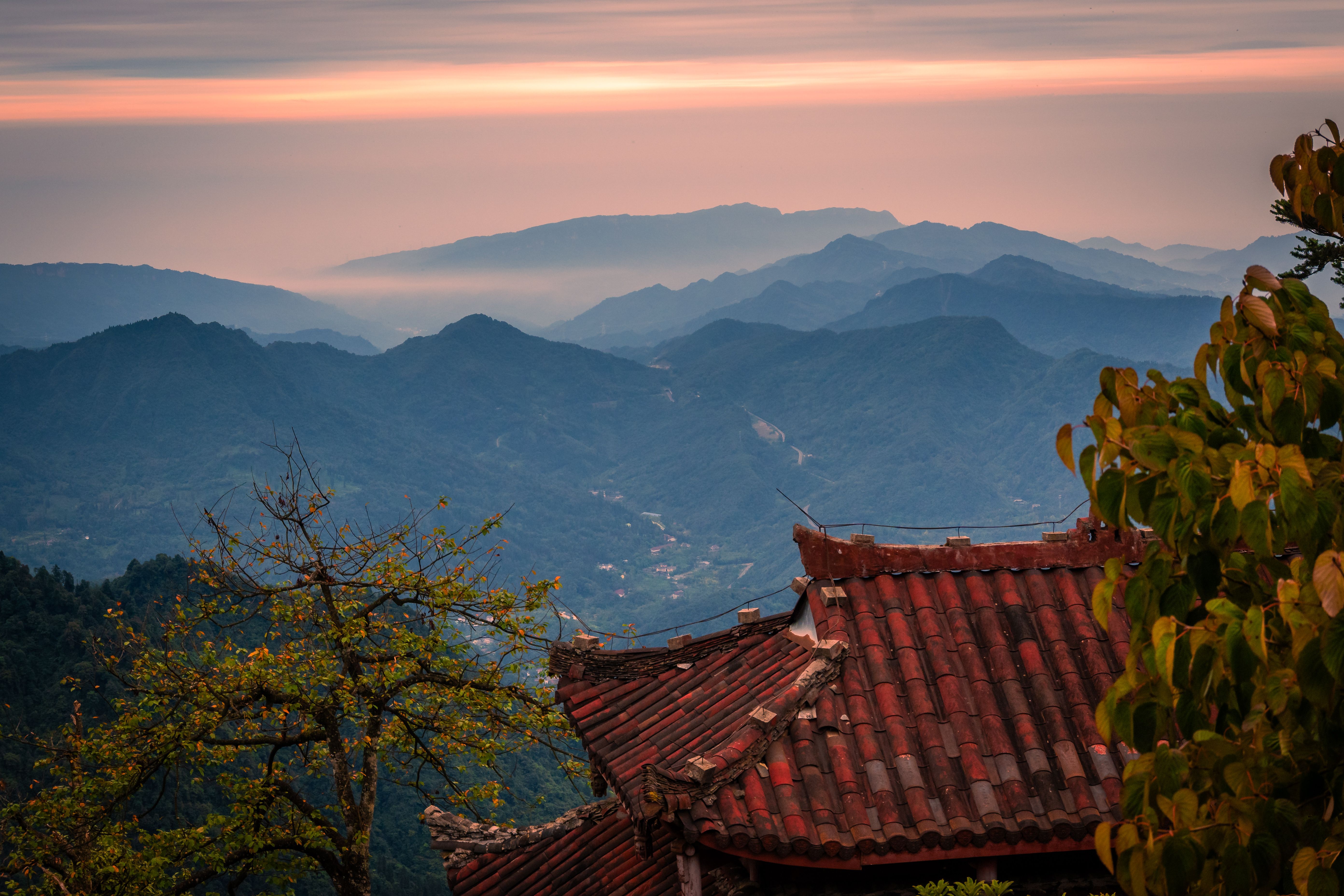 Wudang Mountain Guide 2026: Taoist Temples, Martial Arts Schools & the Birthplace of Tai Chi