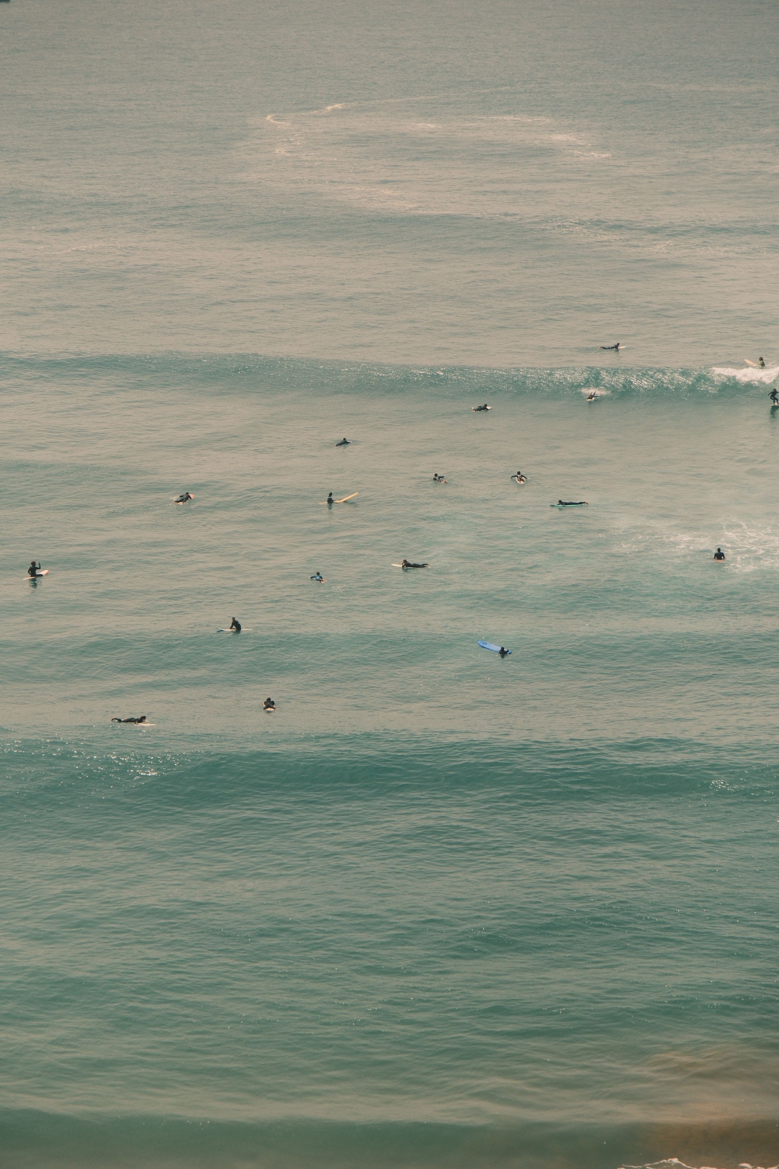 Aerial View of Surfers Catching Waves in Ocean · Free Stock Photo