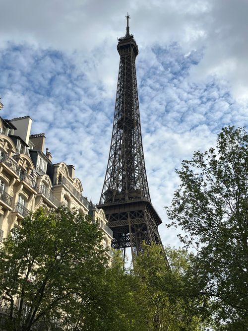 Free View of the Eiffel Tower with classic Parisian buildings and trees in spring. Stock Photo