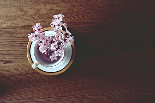 免费 白色陶瓷杯中的白色和紫色花朵 素材图片