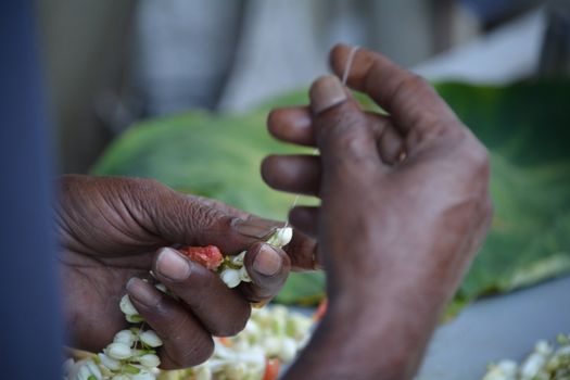 Hands intricately stringing fresh jasmine flowers, showcasing fine craftsmanship and cultural tradition.