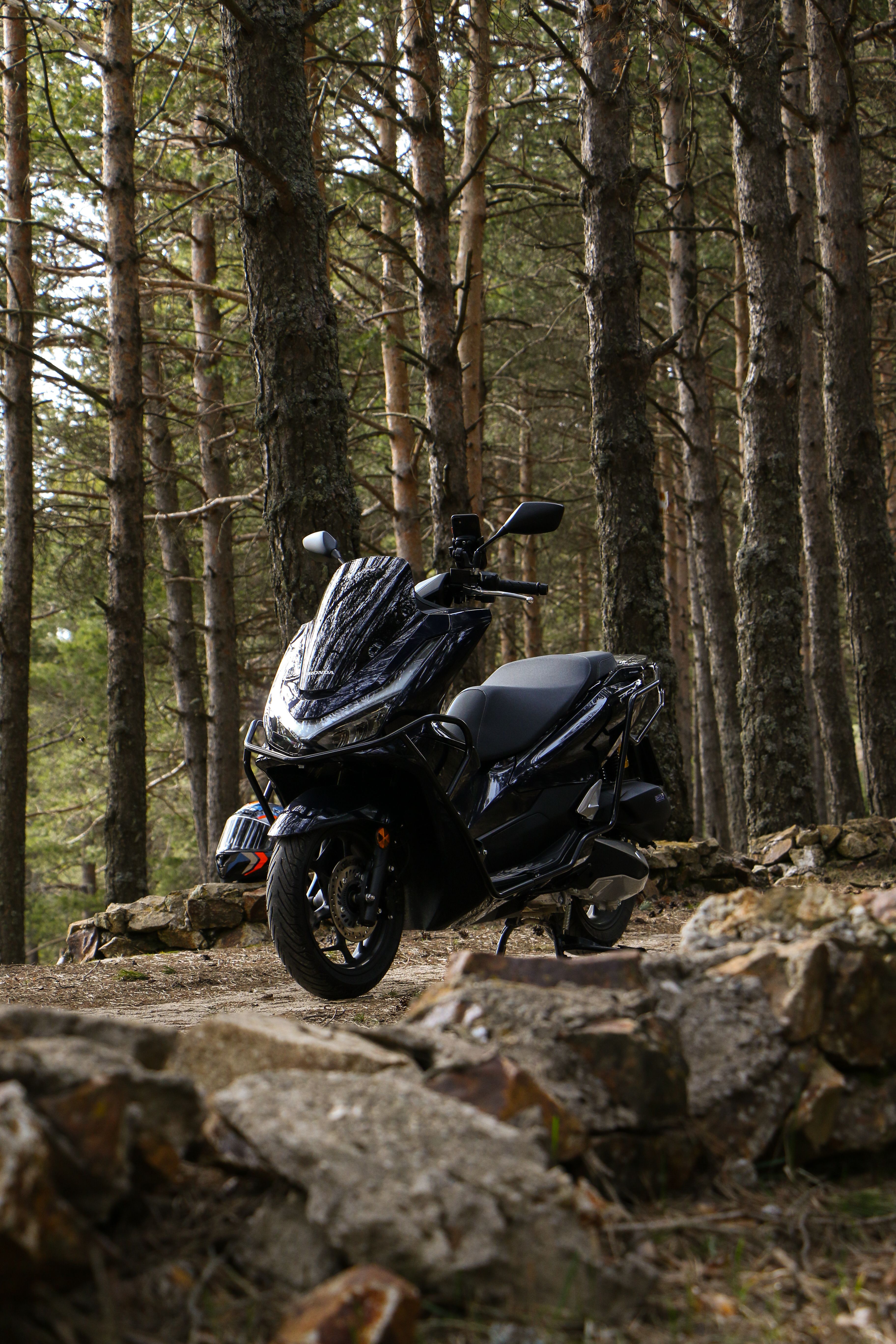 A black motorcycle parked amidst tall pine trees on a rocky path.