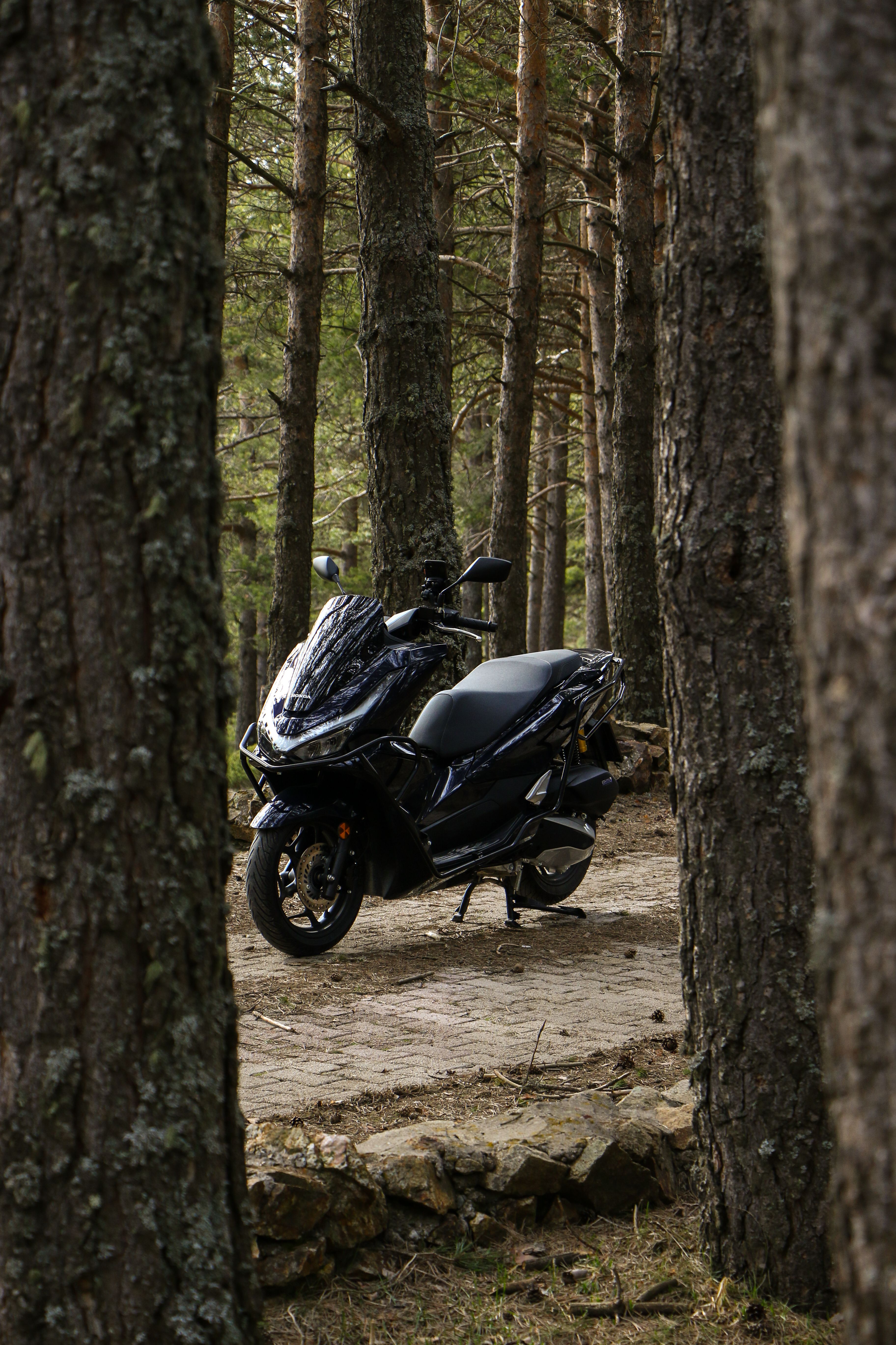 A Honda PCX Motorcycle on a Road · Free Stock Photo