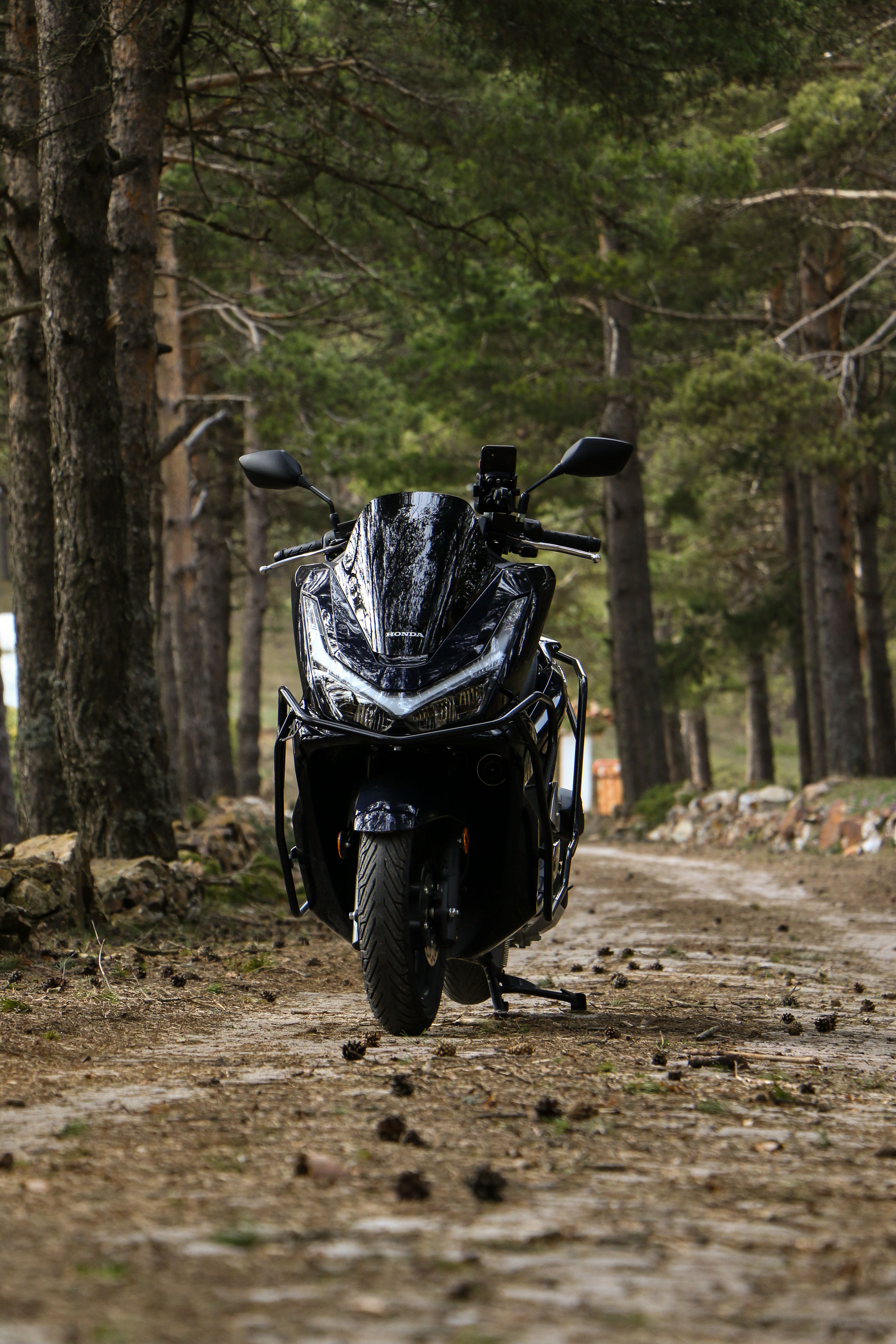 Sporty Motorcycle on Forest Pathway · Free Stock Photo