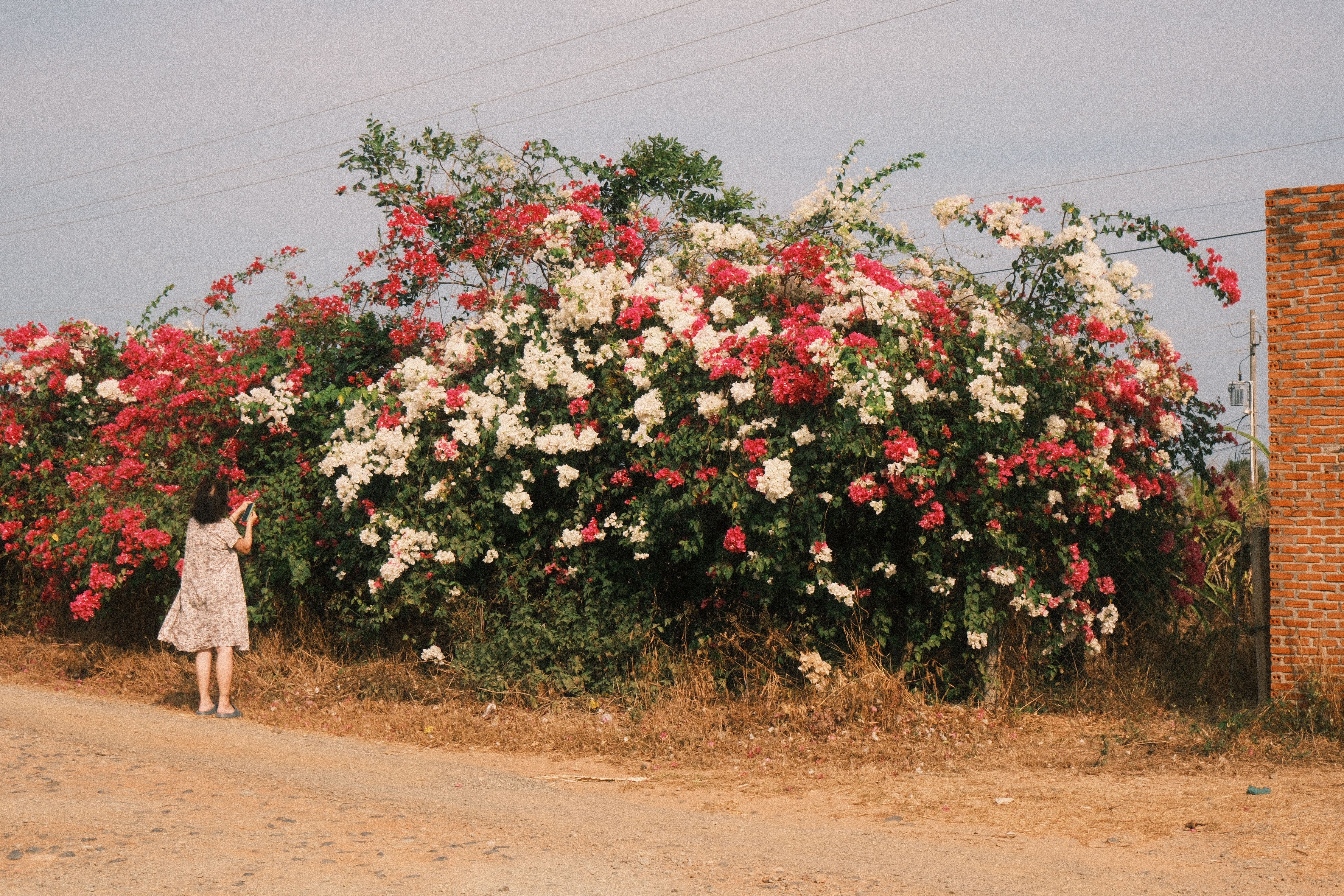 Phan Thiet
