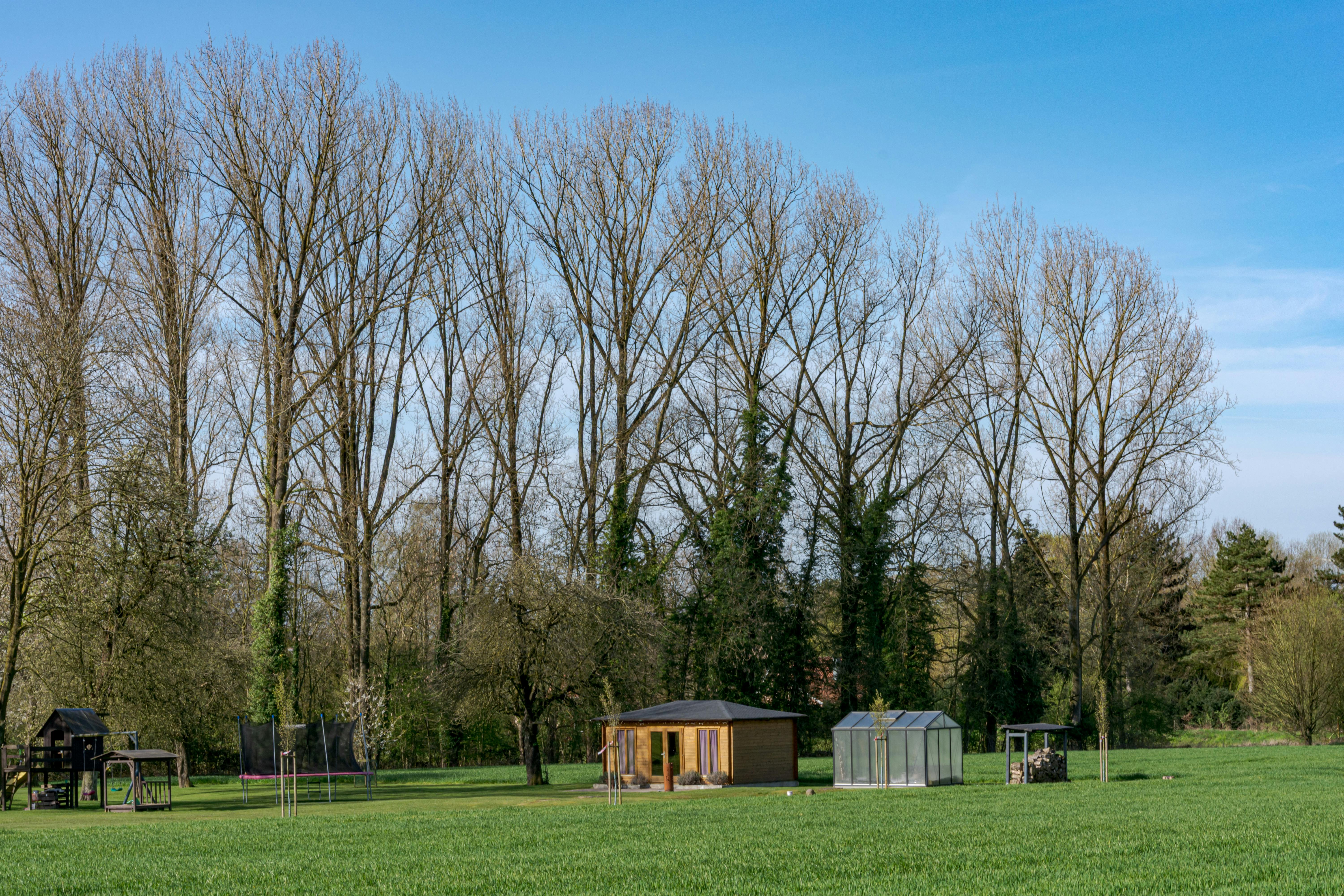 Paysage rural serein avec une cabane en bois et un trampoline entourés de grands arbres.