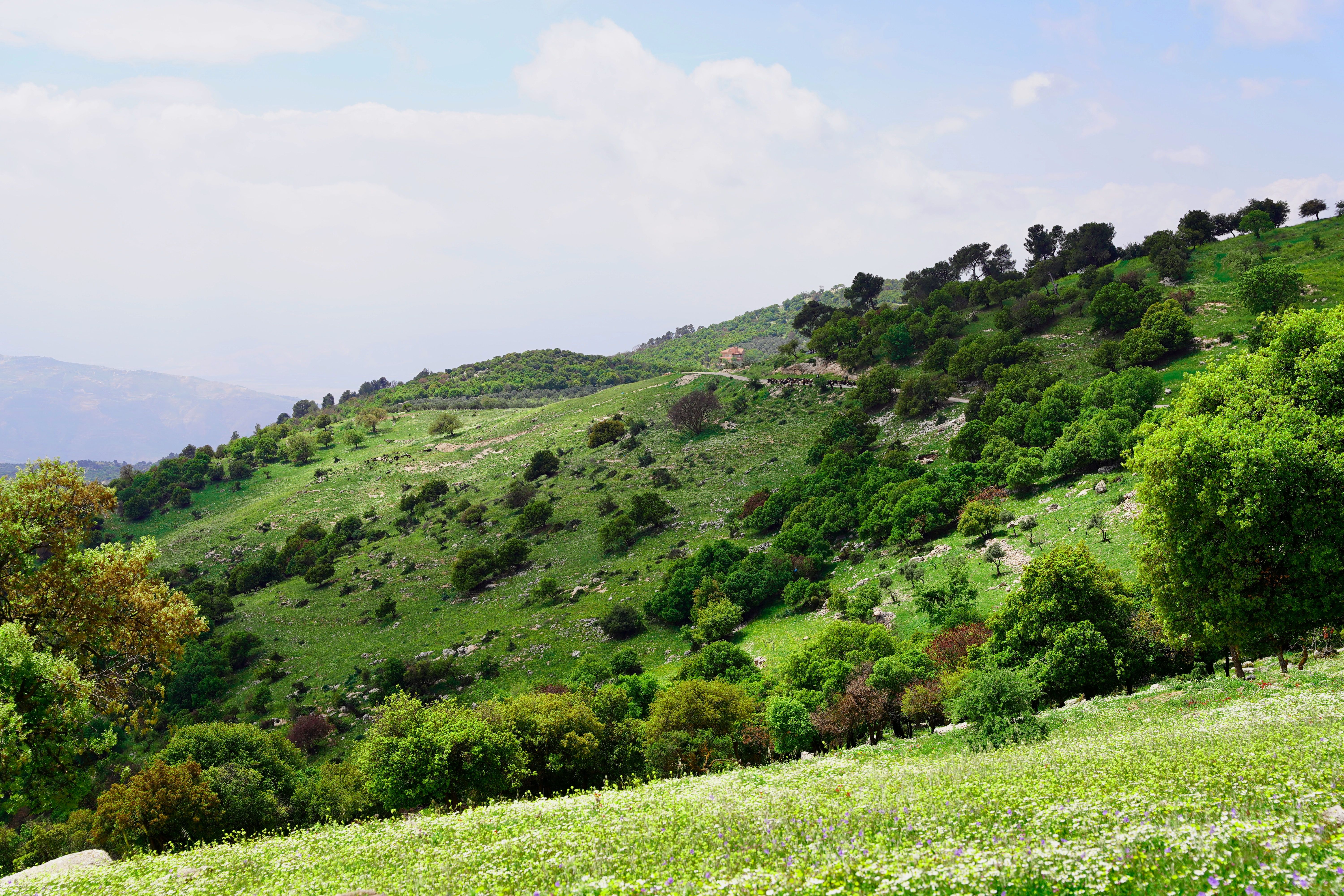 Wadi Al-Seer & Iraq Al-Amir