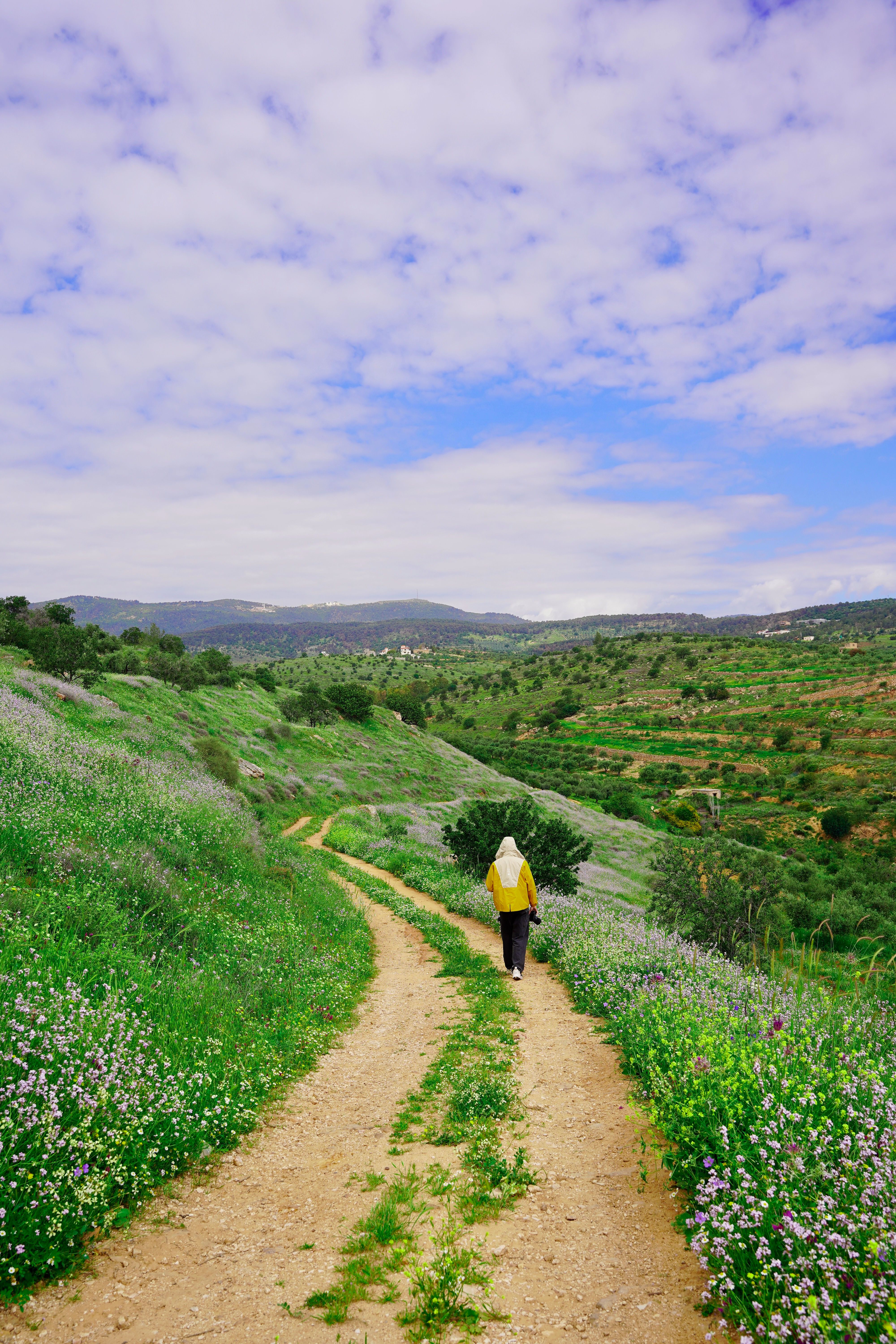 [ColoSach]-person-walking-on-a-serene-dirt-path-in-jerash,-jordan,-surrounded-by-lush-spring-landscape.