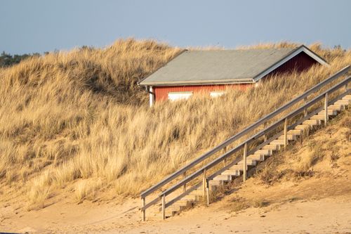 Free A serene red cabin located in coastal sand dunes with stairs leading up through dry grass. Stock Photo
