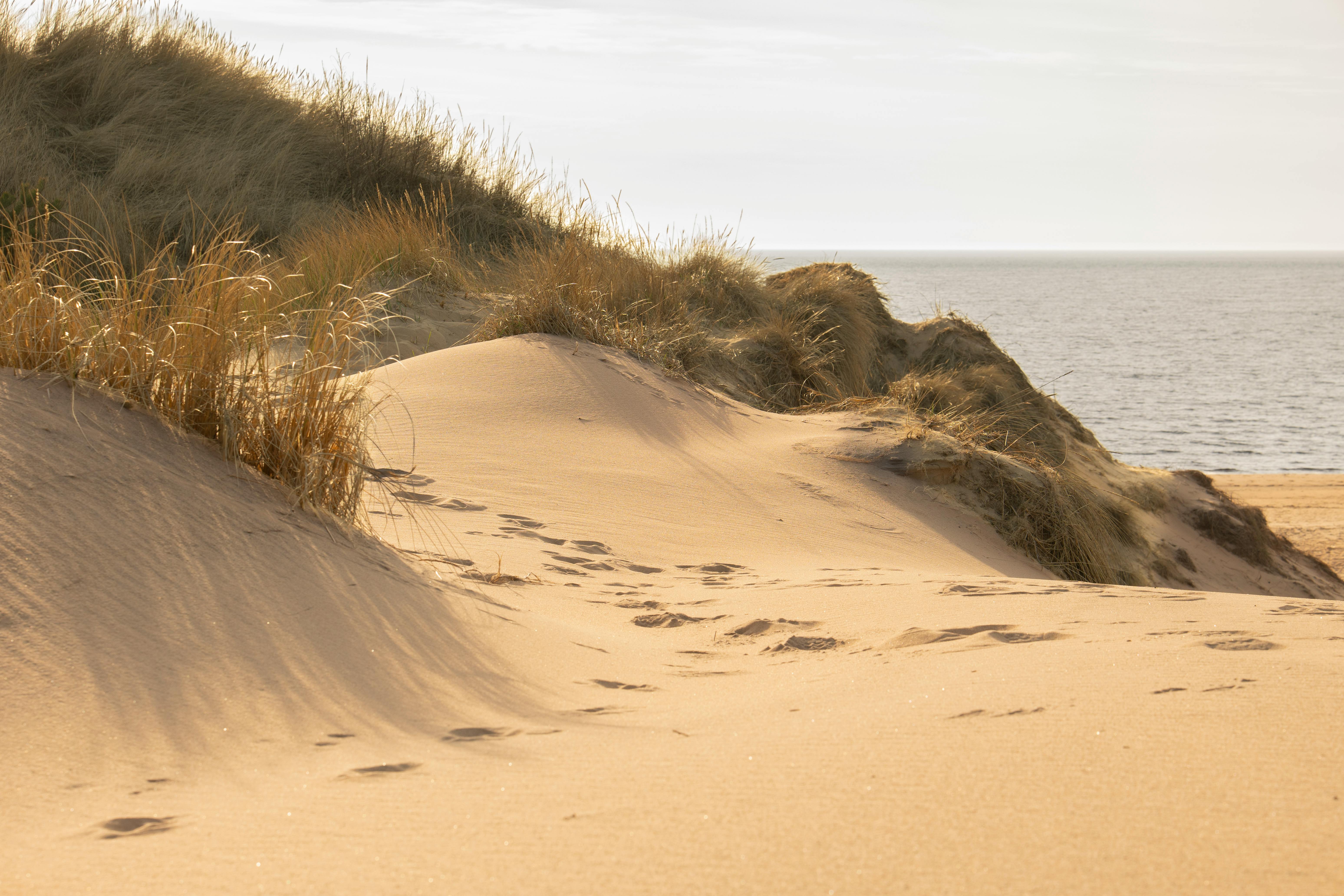 Tranquil sandy dunes with sea view under warm sunlight, offering a peaceful beachside atmosphere.