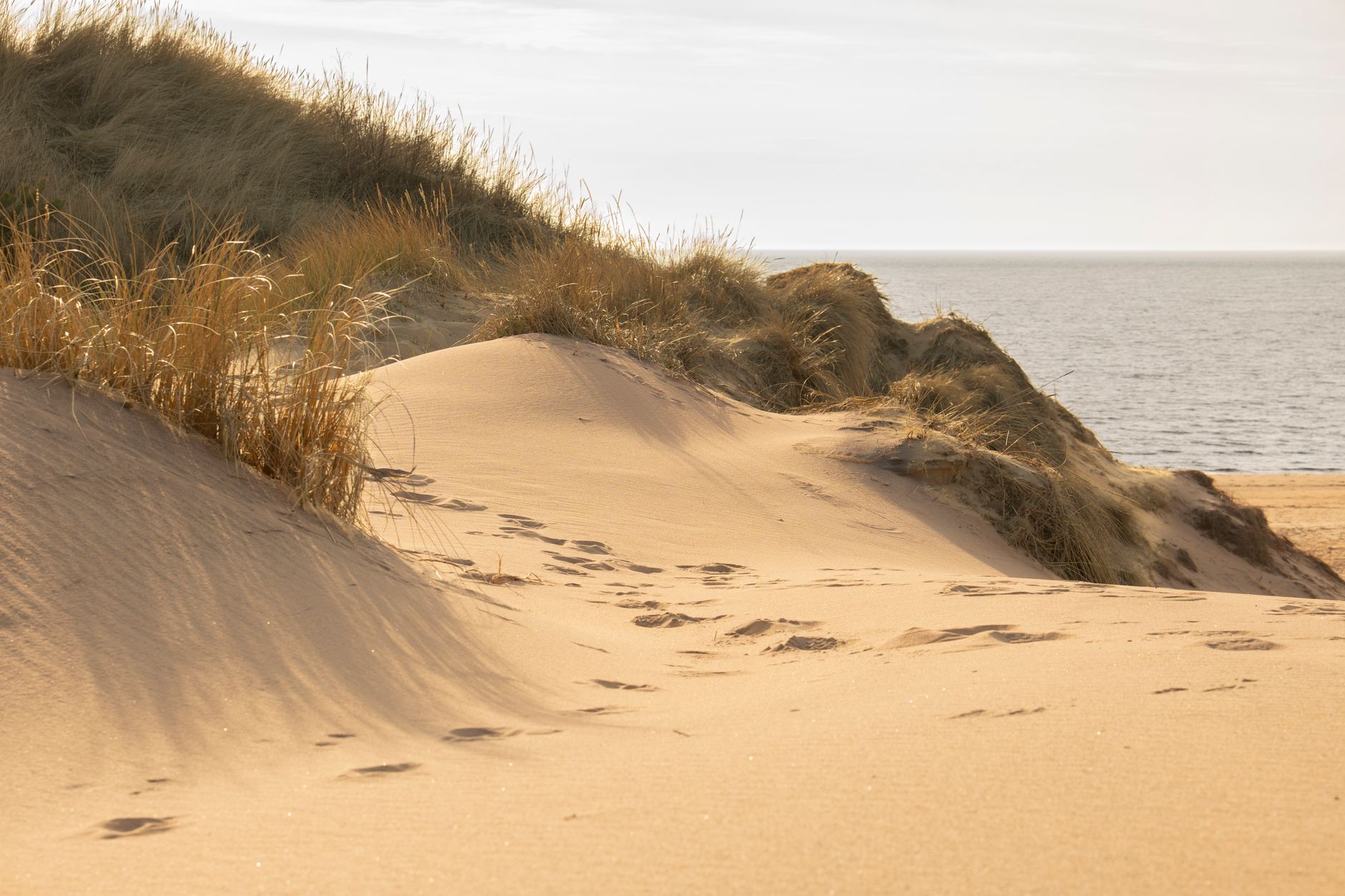 Tranquil sandy dunes with sea view under warm sunlight, offering a peaceful beachside atmosphere.