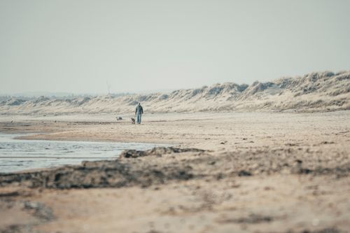 Free A person and dog walking along a peaceful beach surrounded by serene sand dunes. Stock Photo