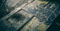 一扇质朴的木门，油漆剥落，木质腐烂，纹理尽显，散发着复古魅力