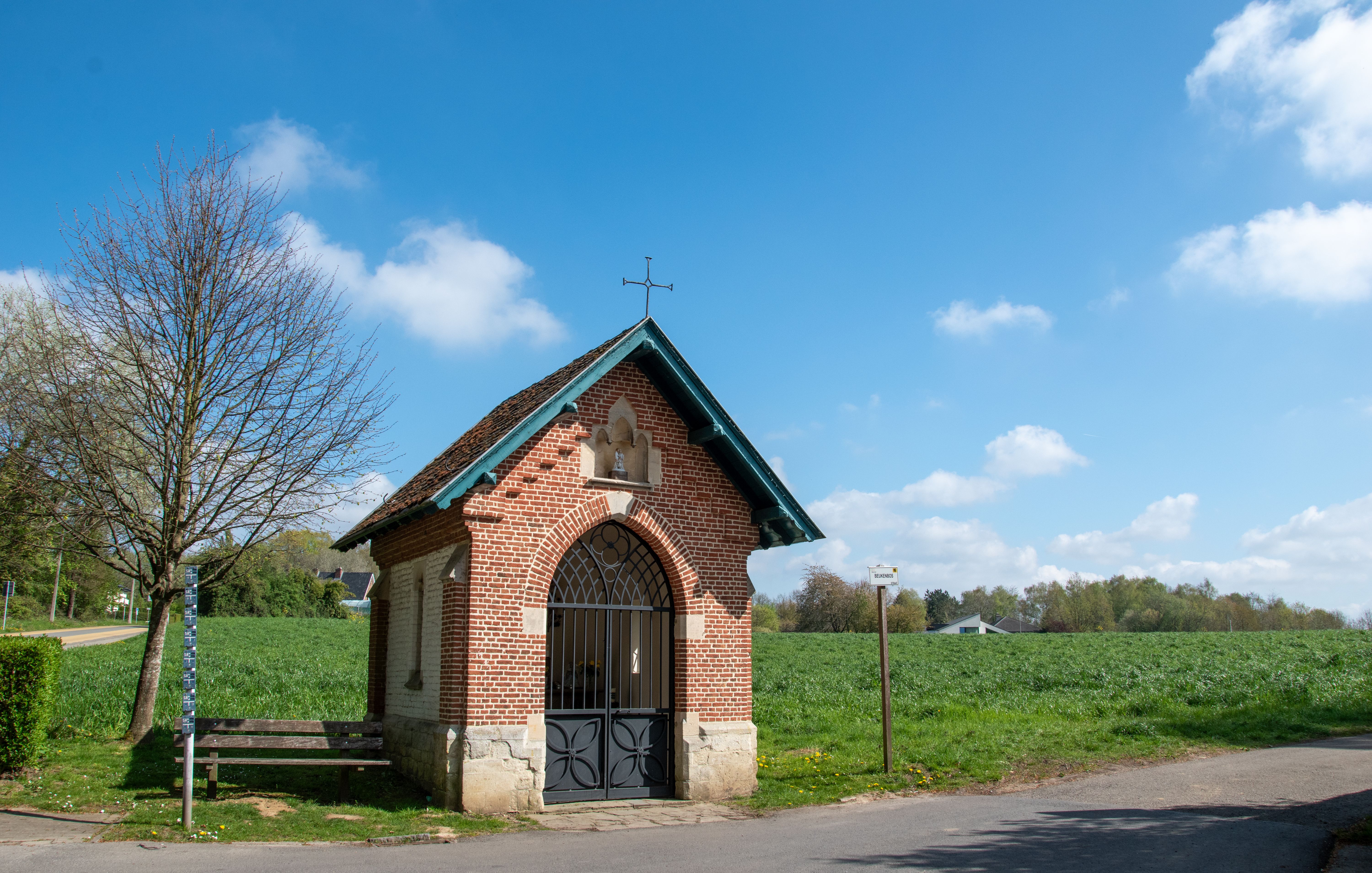 Foto: Jean-Paul Colemonts / Pexels