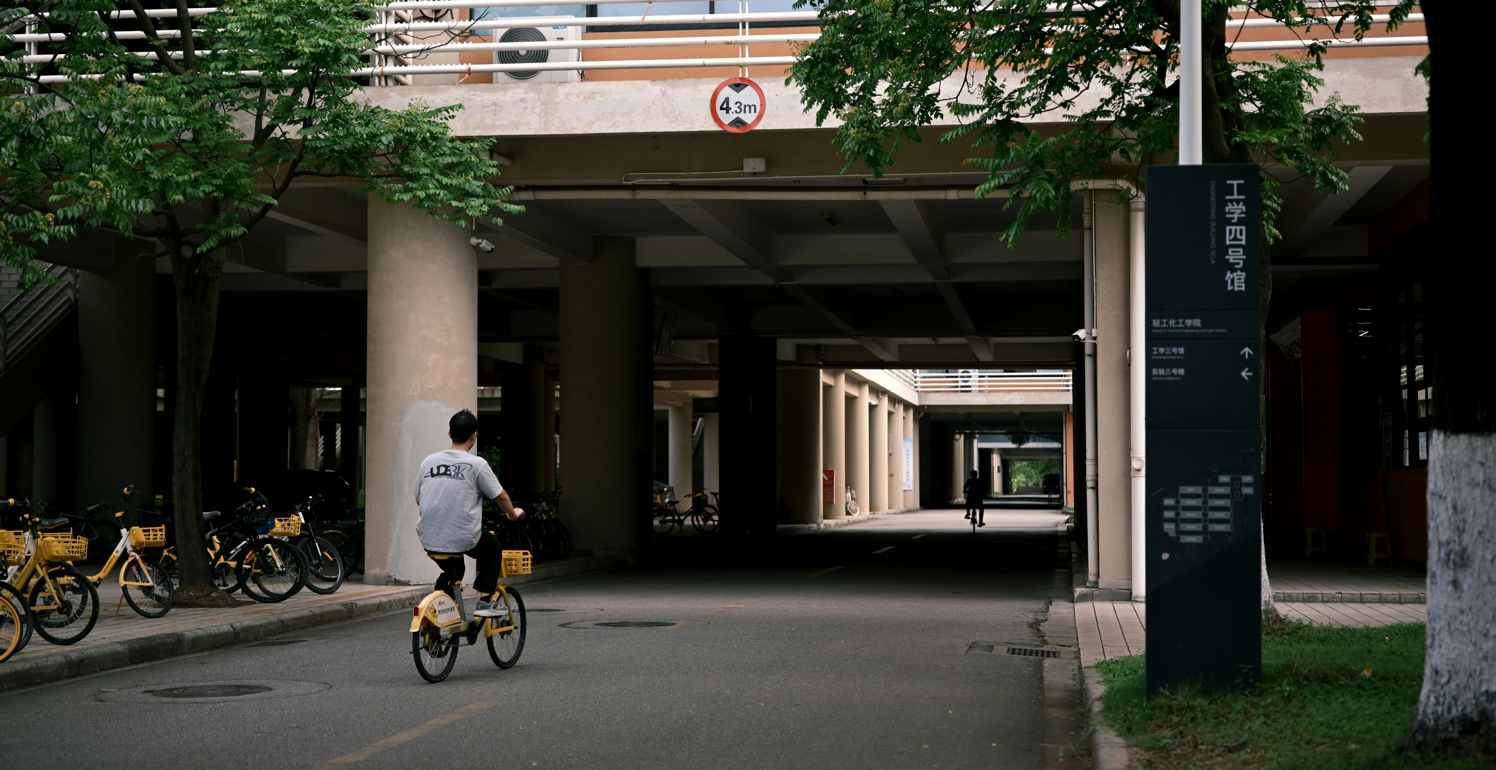 University to change “confusing” general education requirements — Photo by 晓鸟  蓝 on Pexels