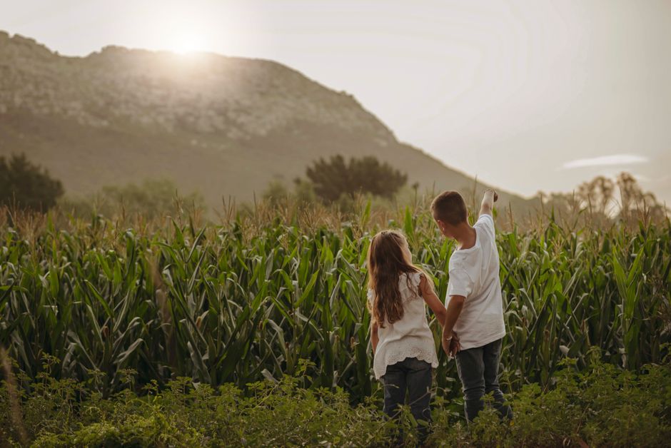 Dos niños están en un campo de maíz, señalando hacia una montaña escénica bajo un cielo al atardecer.