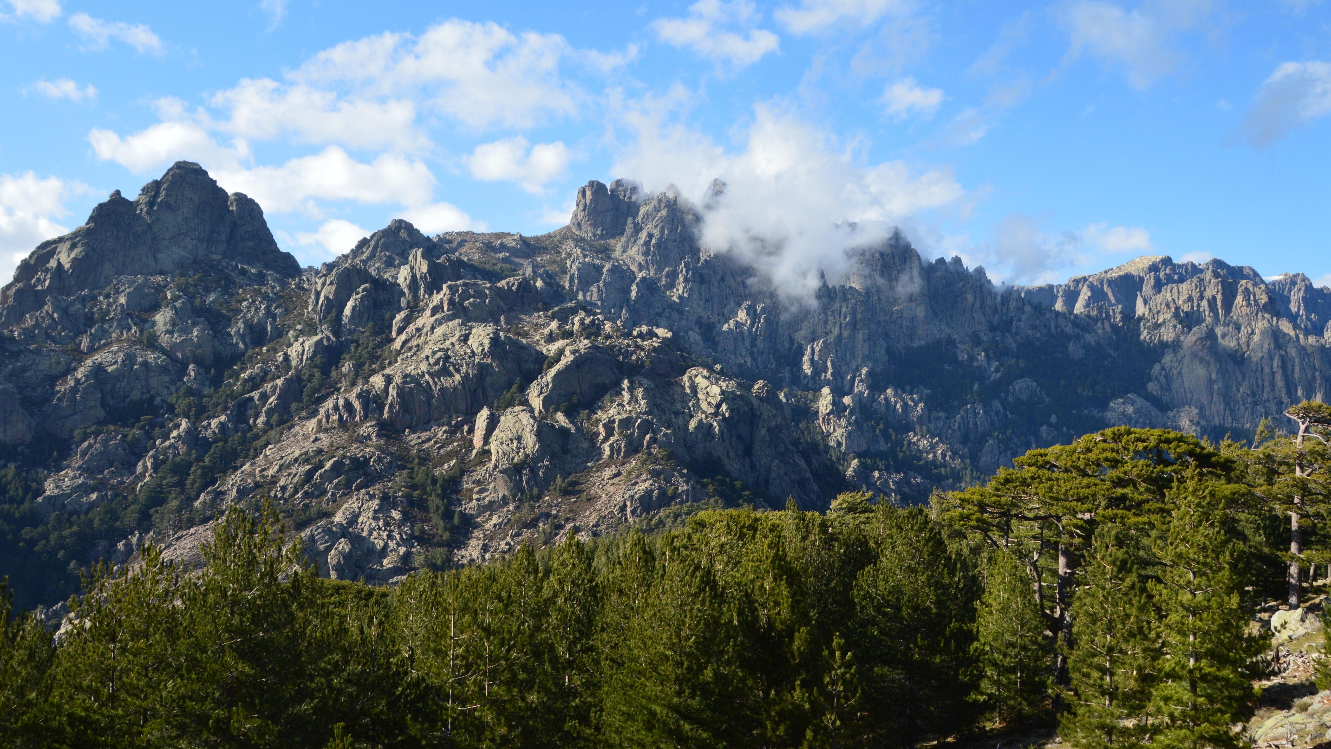 Breathtaking view of rugged mountains and lush forest in Zonza, Corsica, under a clear blue sky.