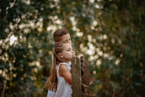 Free Two children stand at a fence, immersed in nature, enjoying a serene view. Stock Photo