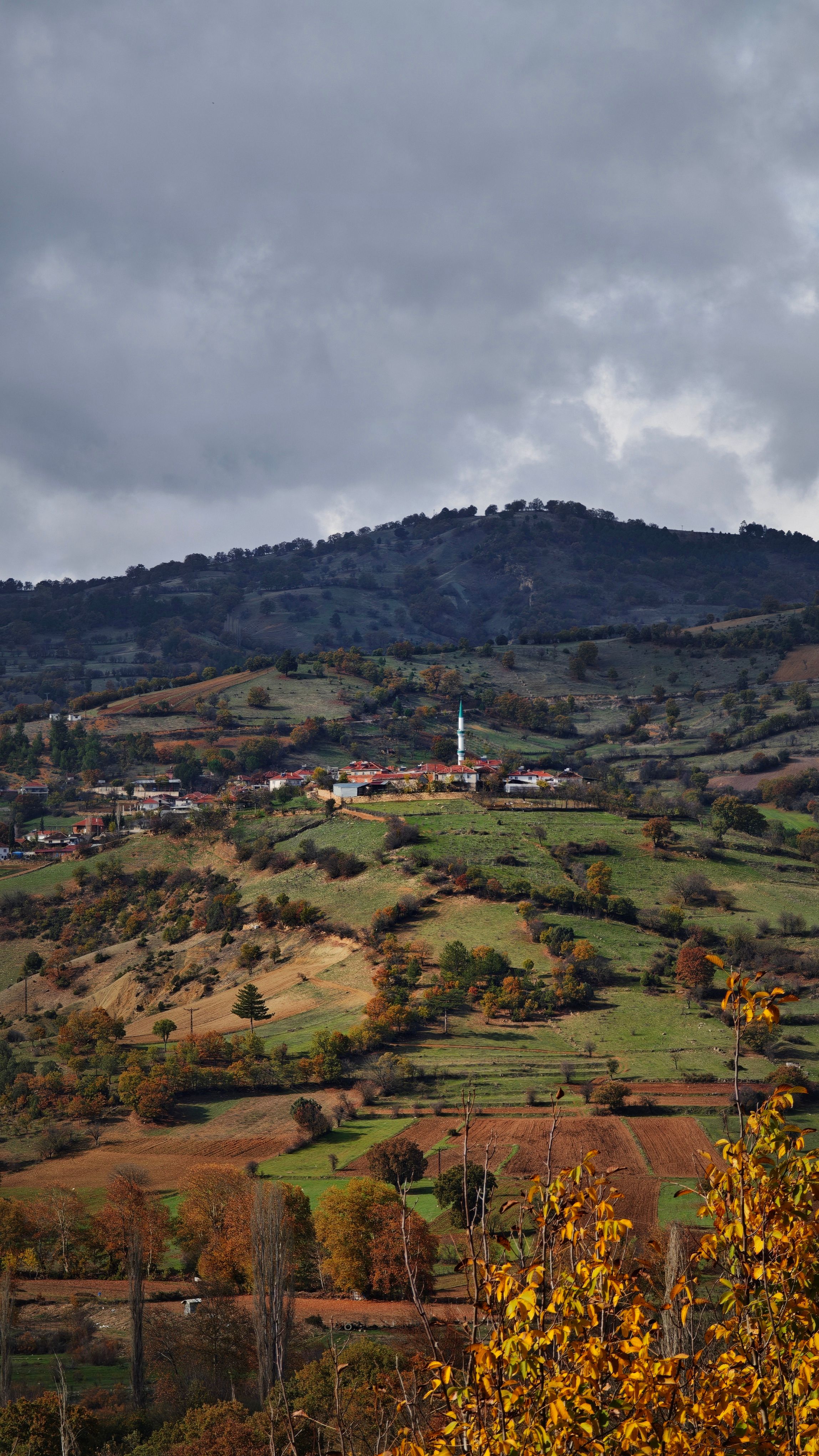 Picturesque hillside view featuring a small village amidst autumn foliage under a cloudy sky.