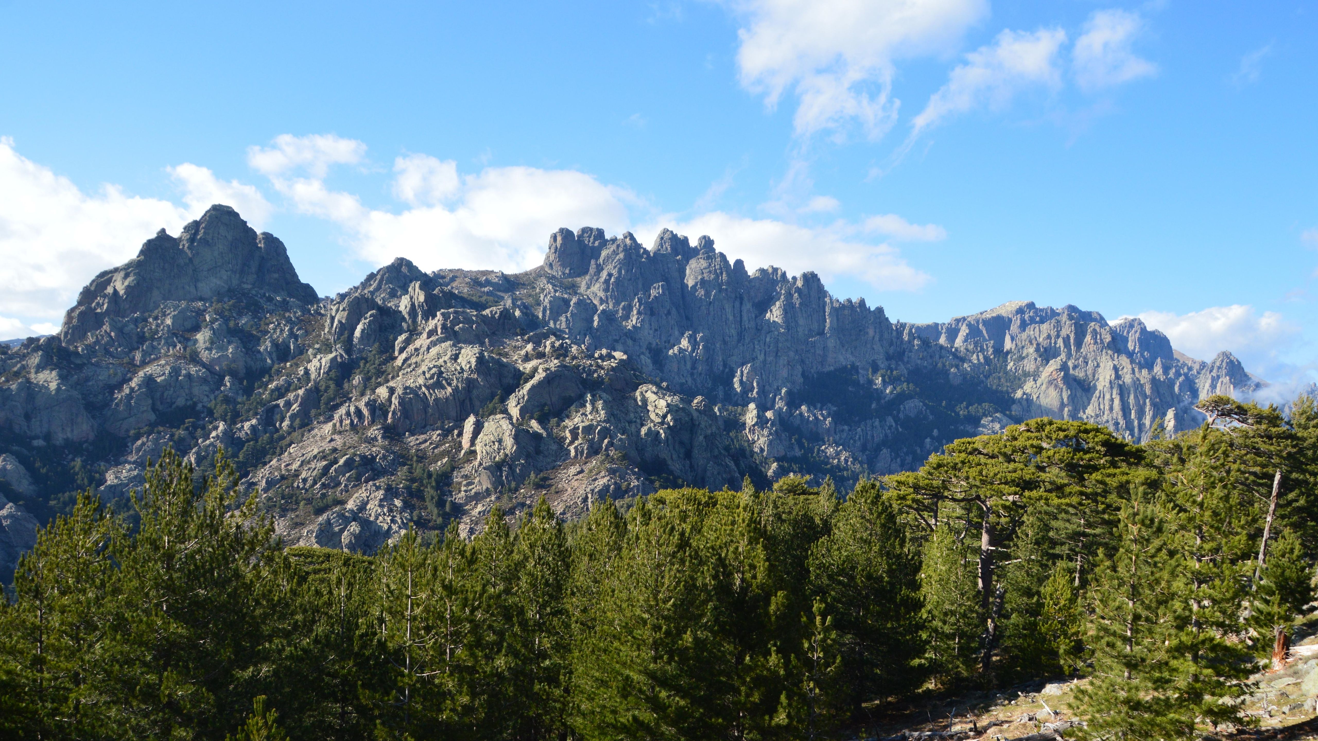 Scenic view of rugged mountains and pine trees in Zonza, Corsica, France.