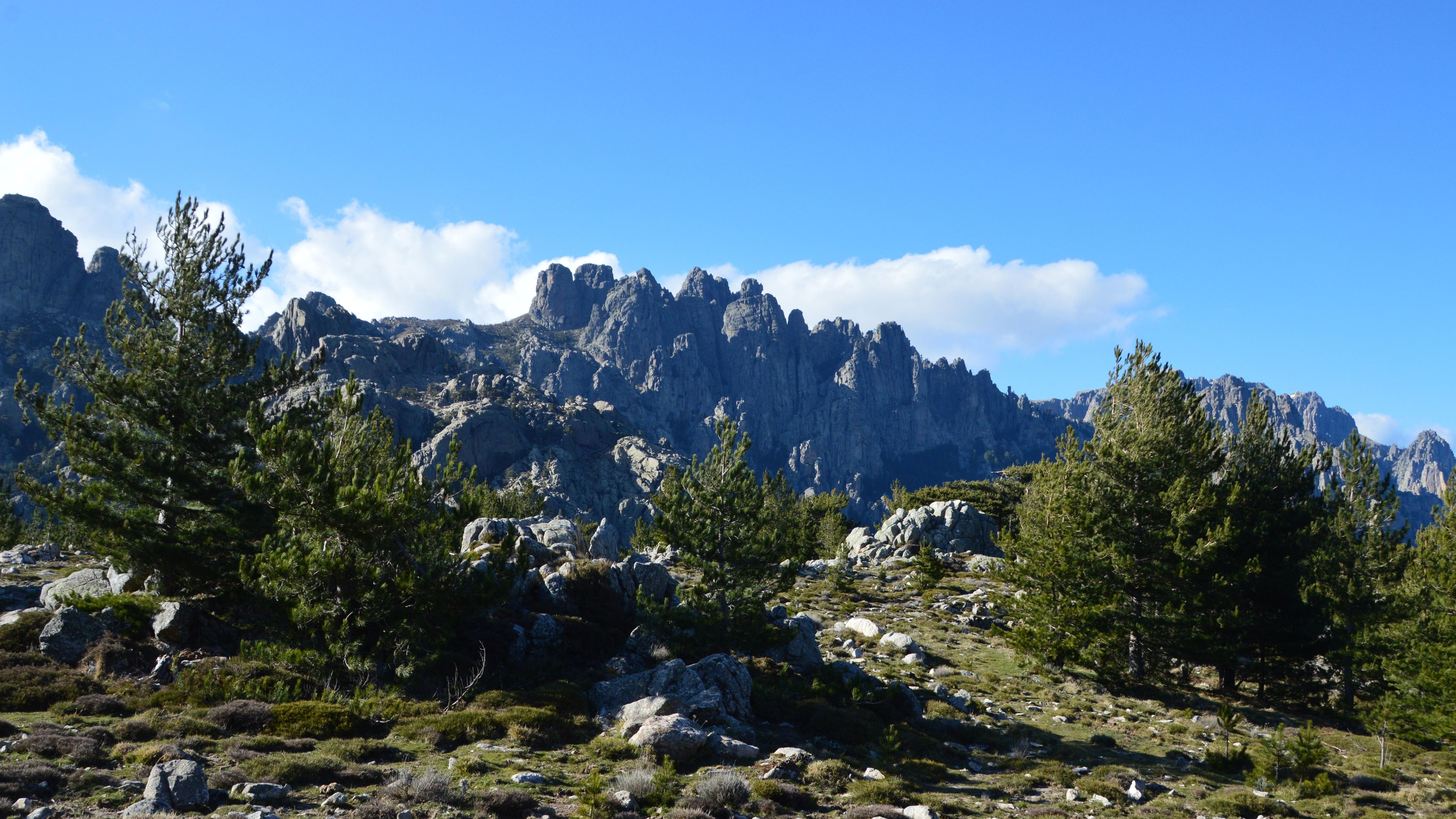 Breathtaking view of rocky mountains and evergreen trees in Zonza, Corsica.