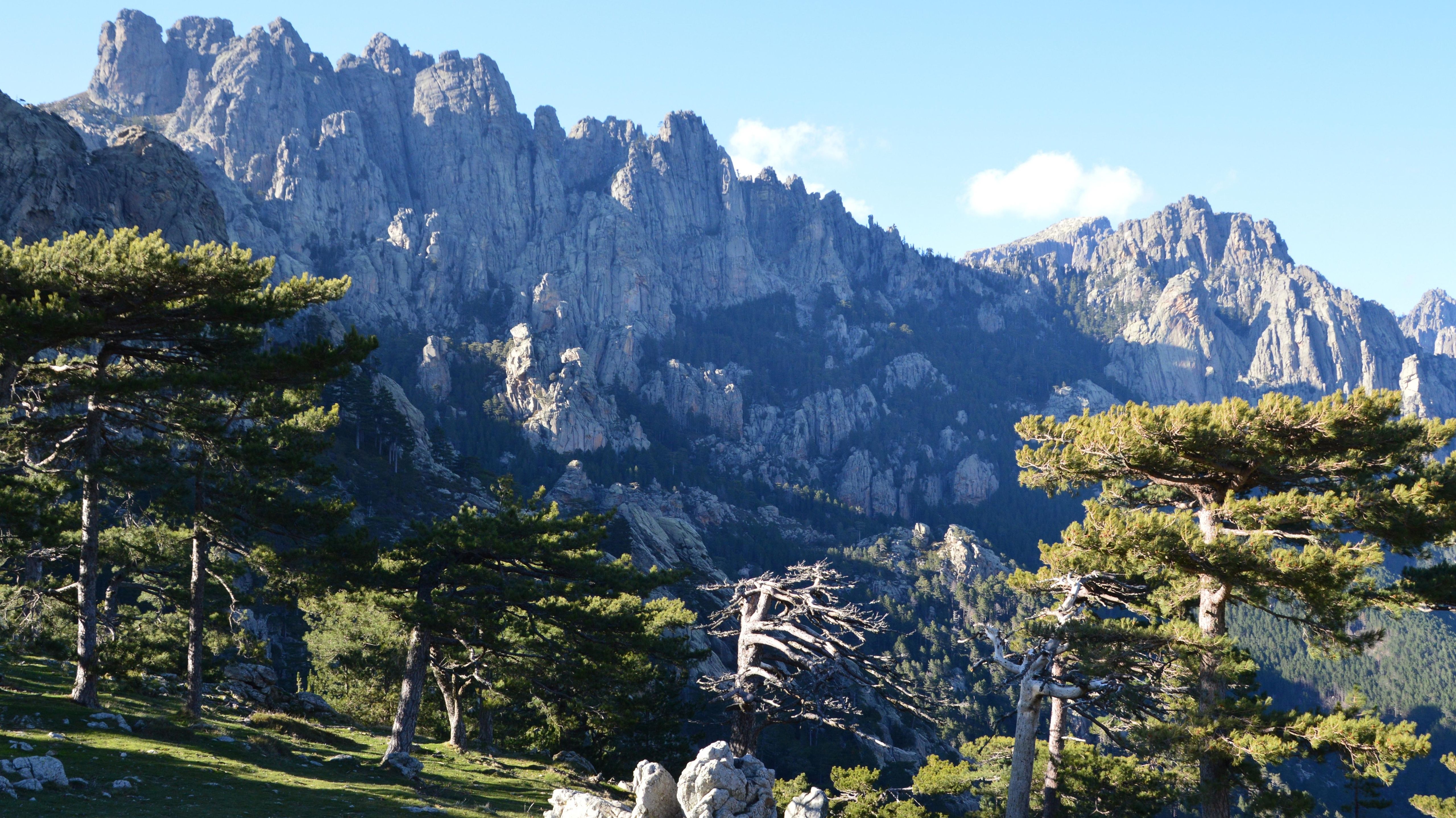 Stunning mountain landscape with pine trees in Zonza, Corse, France, showcasing rugged natural beauty.