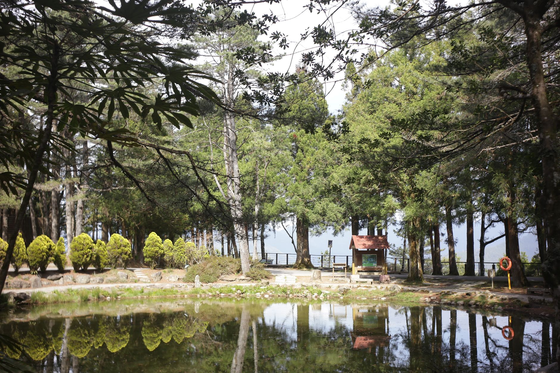 Kolam pemandian air panas modern di tengah hutan pinus Ciwidey Cimanggu Kolam pemandian air panas modern di tengah hutan pinus Ciwidey Cimanggu