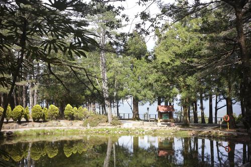 Free Serene forest landscape with pond reflection and lush greenery during daytime. Stock Photo