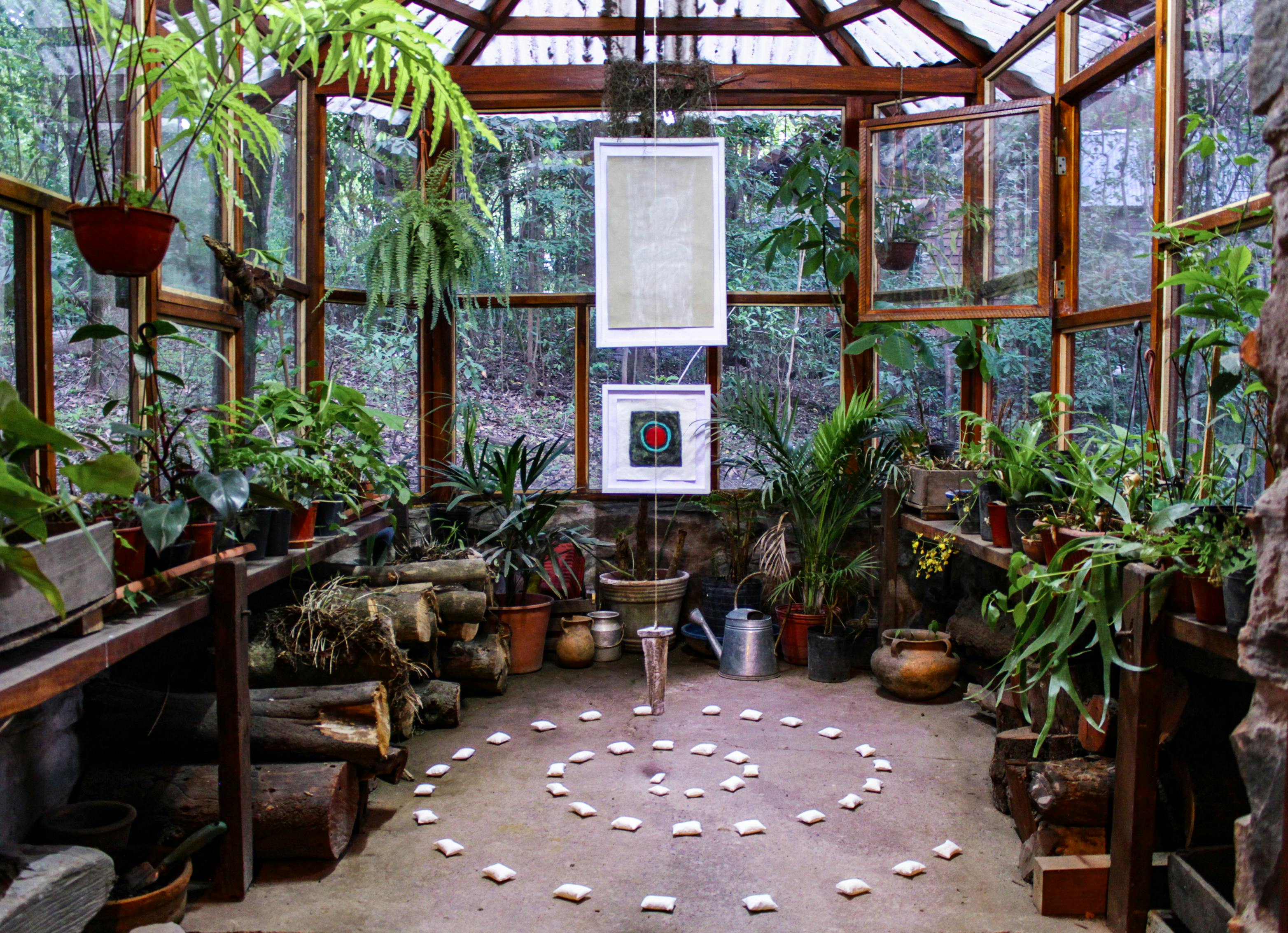 green house plants living room idea