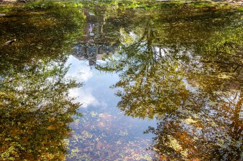 Free Beautiful reflection of trees and sky in a serene pond, capturing nature's tranquility. Stock Photo