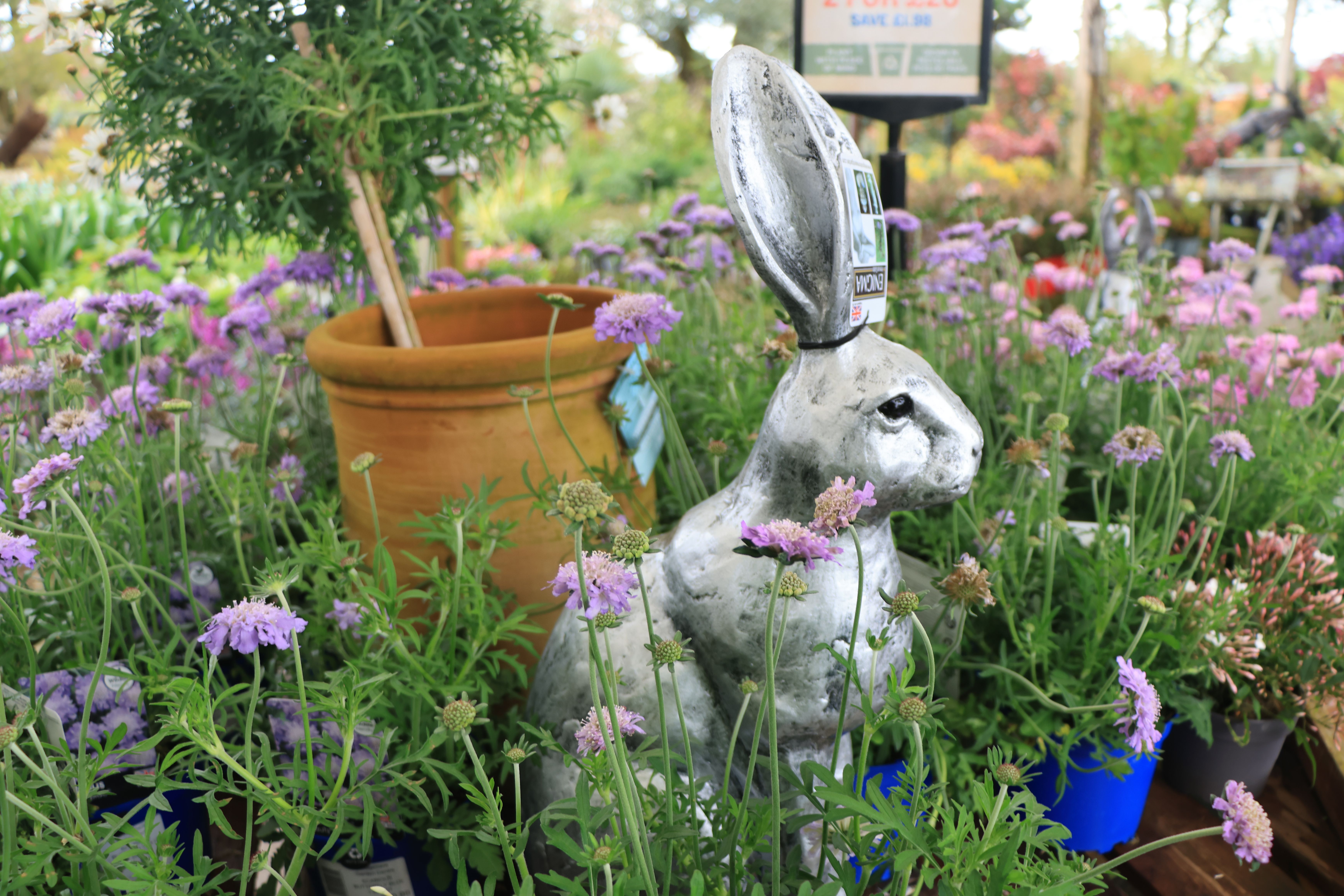 You have hours left before these unbeatable gardening and ba