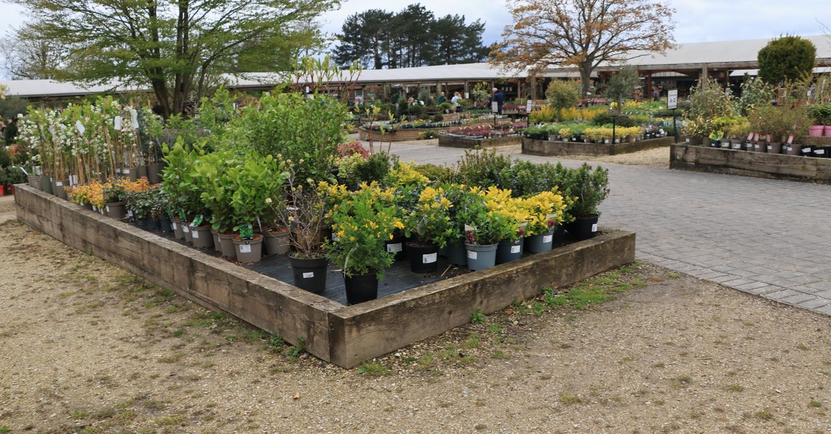 Cómo Elegir el Jardín Perfecto para tu Espacio Exterior