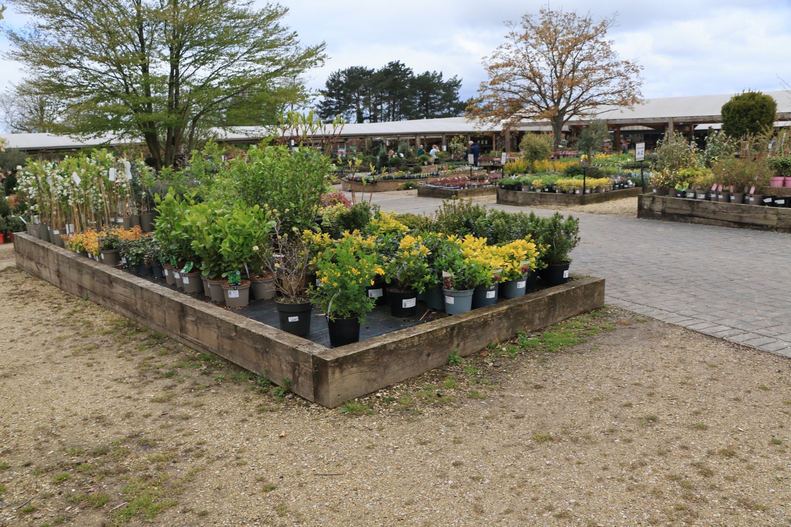 Plantation naturaliste à Nantes — Atelier Terra