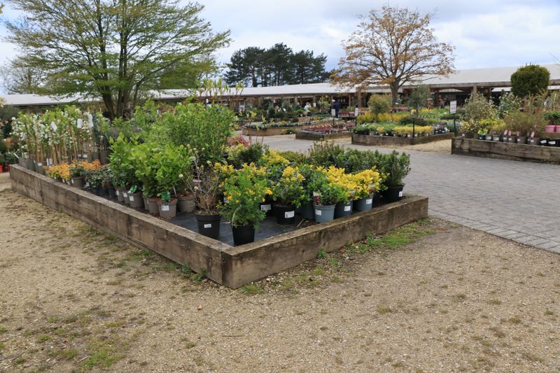 Plantation naturaliste Loire-Atlantique