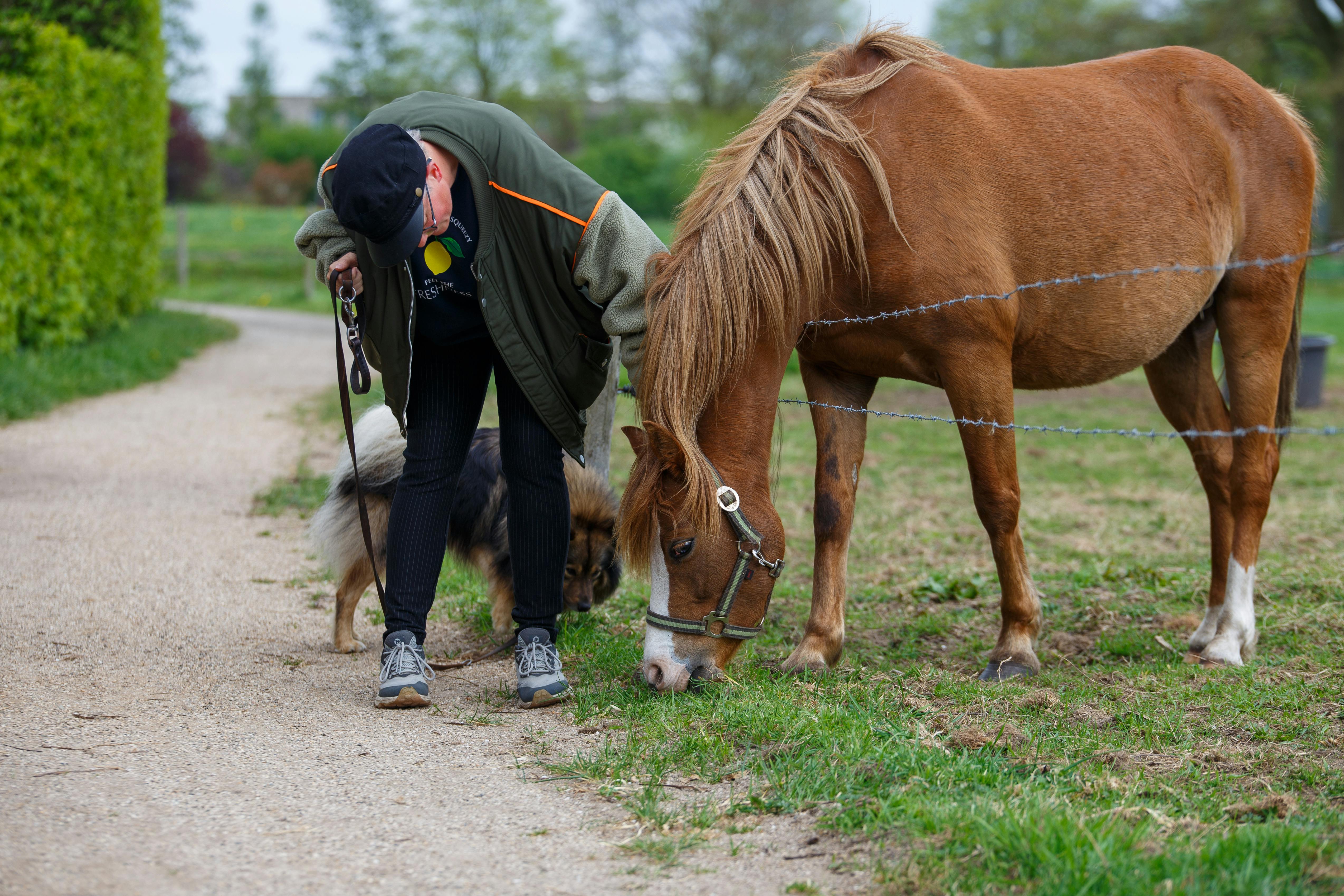 ‘Todd’s sort of lead horse’: Trump’s former criminal defense lawyer ascends DOJ — Photo by Freek Wolsink on Pexels