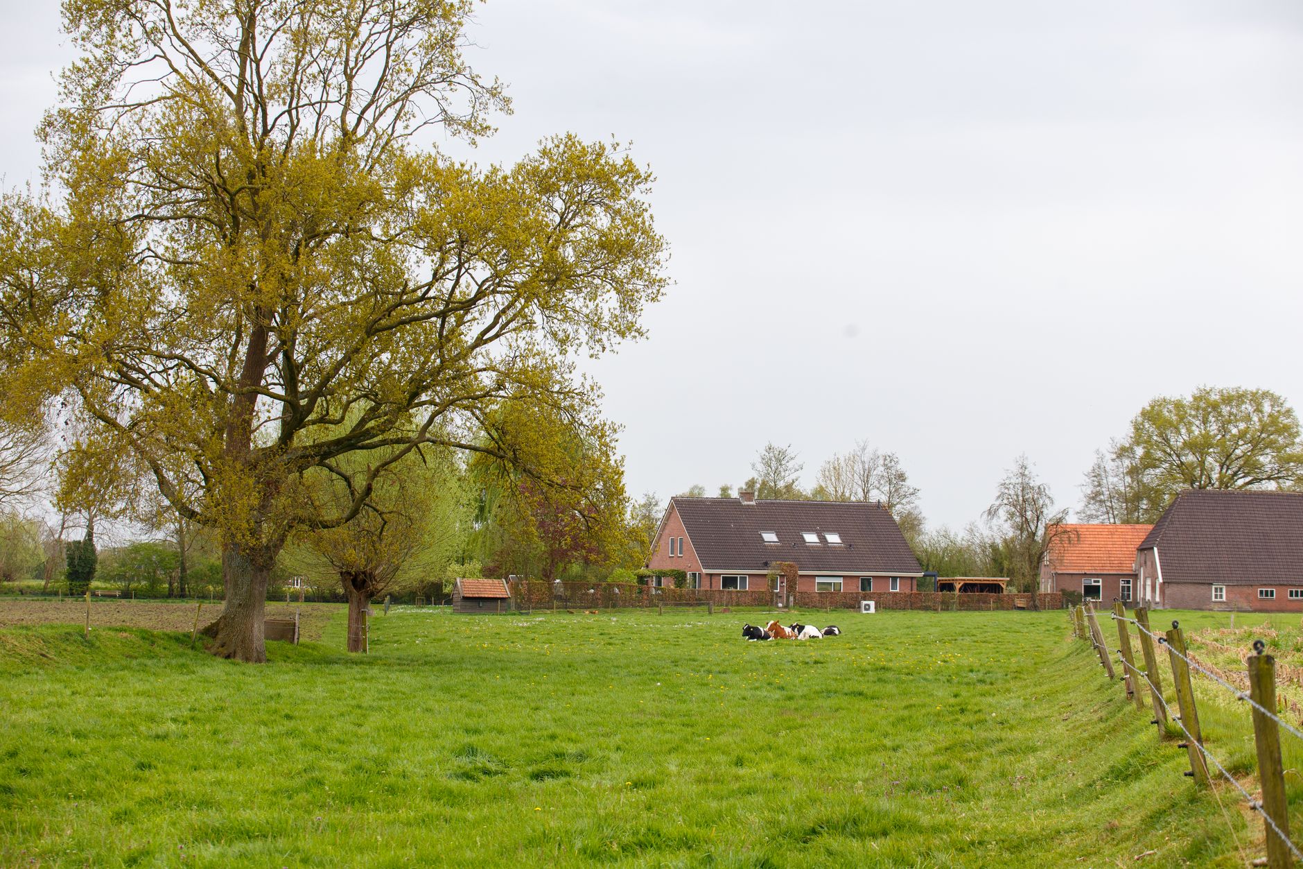 Hollanda'da bir çiftlik evi