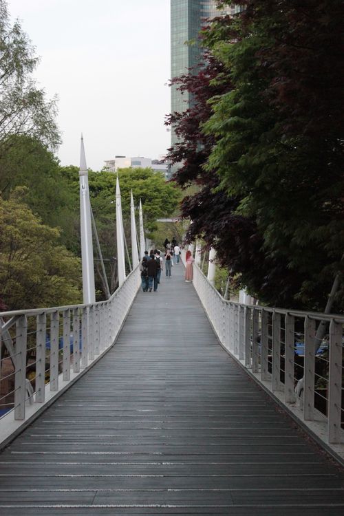Free A serene pedestrian bridge surrounded by lush green trees in an urban park setting. Stock Photo