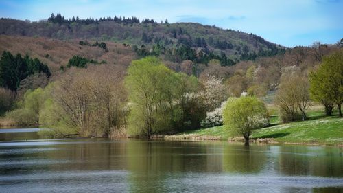 Free Peaceful spring scenery with trees and a tranquil lake in Zaberfeld, Baden-Württemberg. Stock Photo