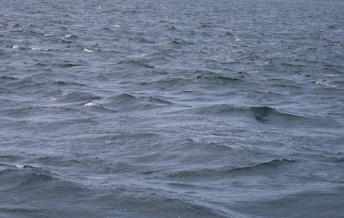Free Calm ocean waves creating a peaceful seascape over the expansive marine horizon. Stock Photo