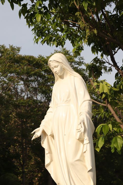 Free White Virgin Mary statue surrounded by greenery in a tranquil garden under sunny skies. Stock Photo