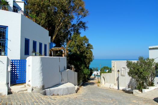 Sidi Bou Said village walk — Tunis